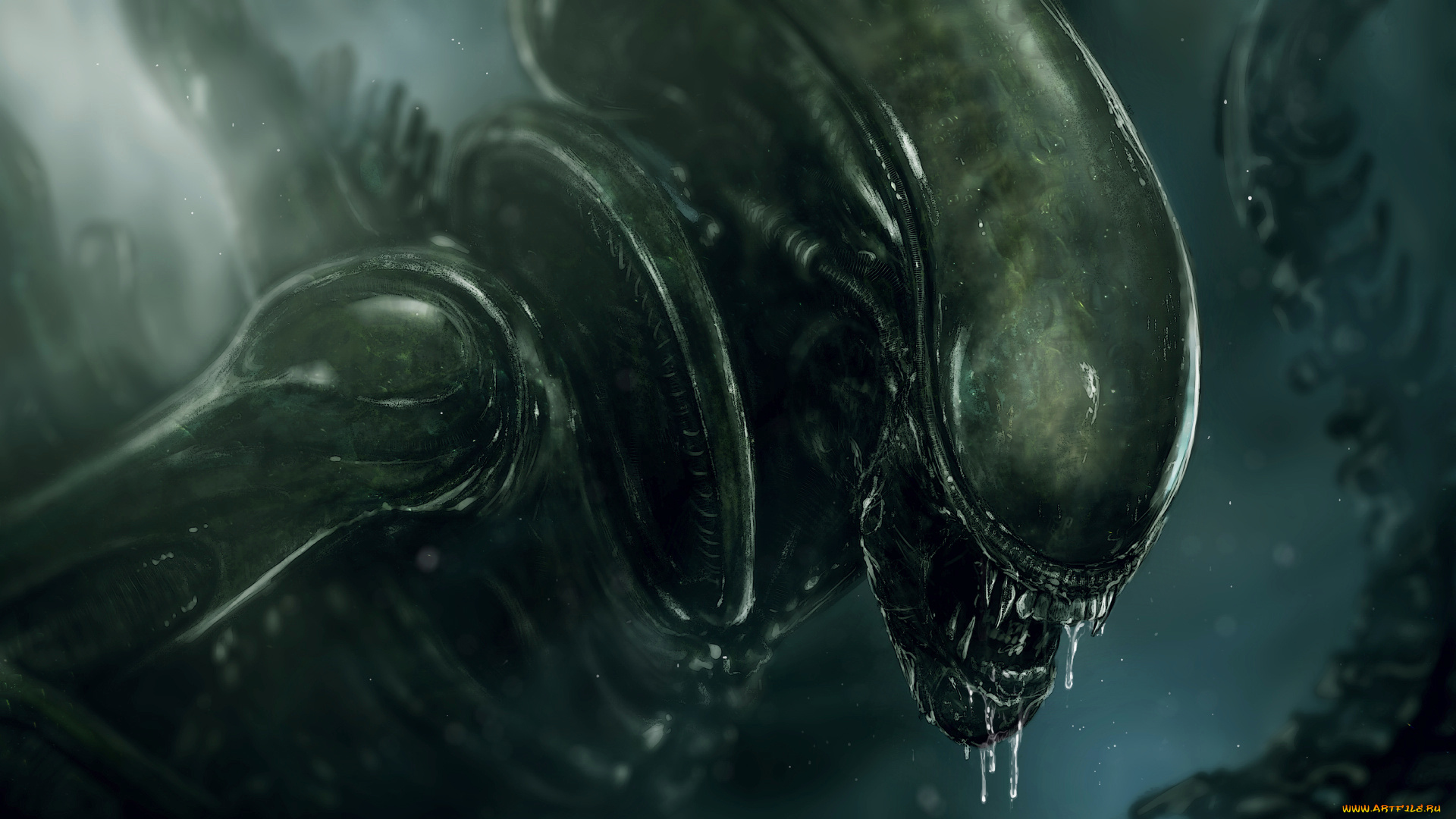 фэнтези, Чужой, , alien, чужой, монстр, чущество, чудовище