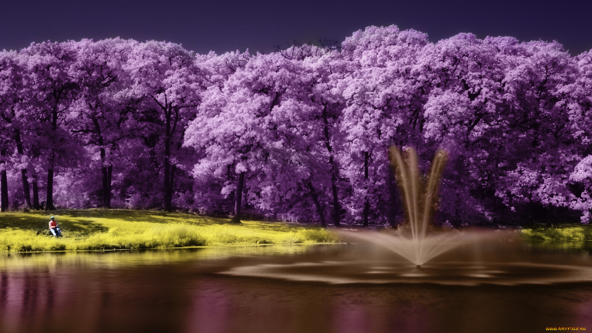 разное, компьютерный, дизайн, озеро, дерево, scenery, lake, фиолетовый, пейзаж, purple, tree