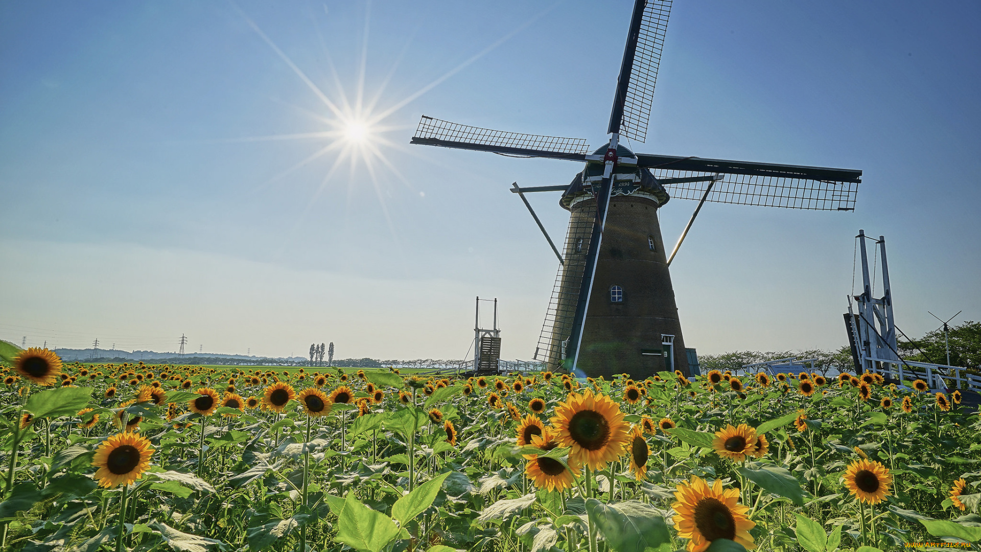 разное, мельницы, поле, подсолнухи, ветряк