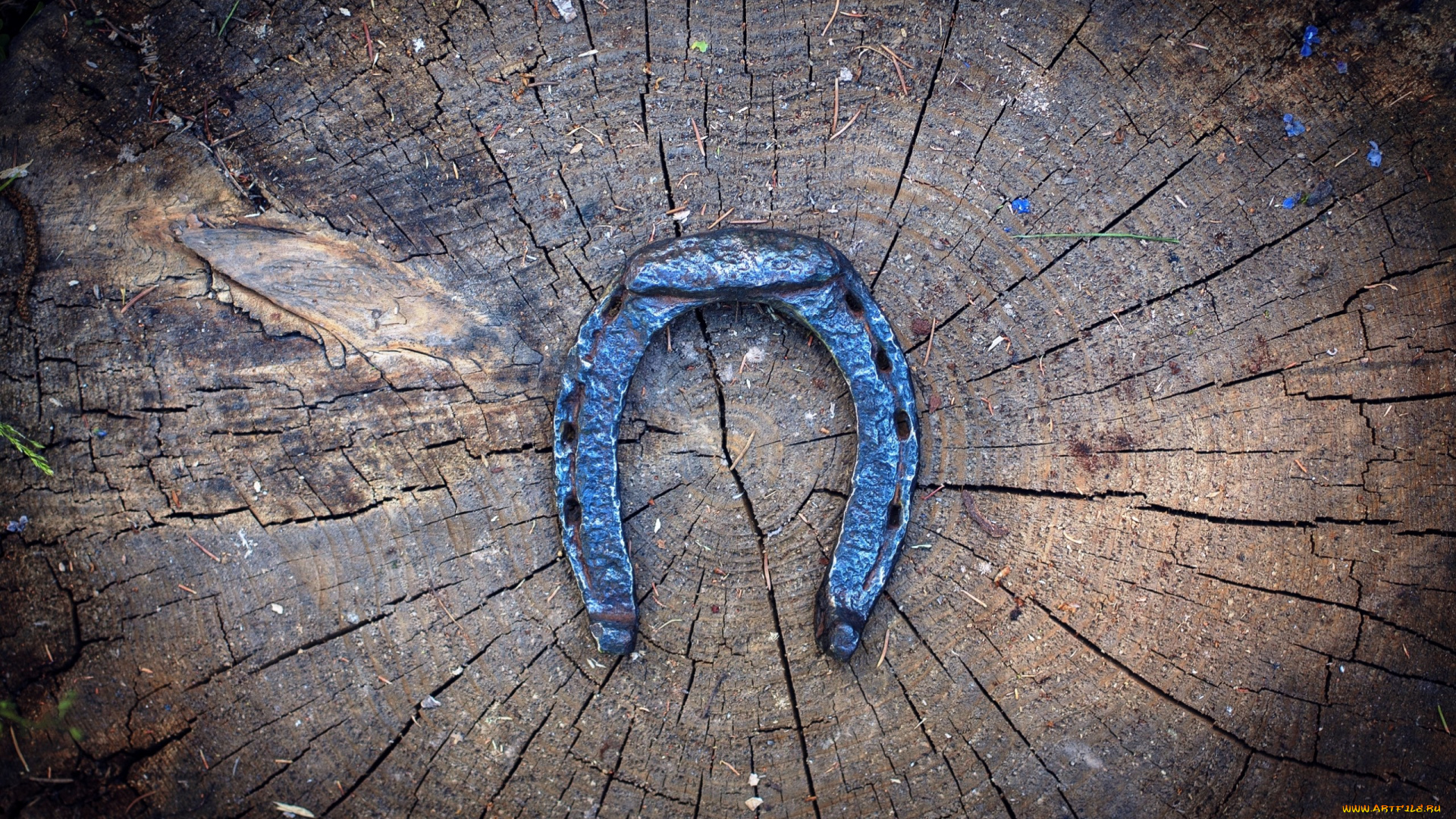 разное, текстуры, подкова, счастье, фон