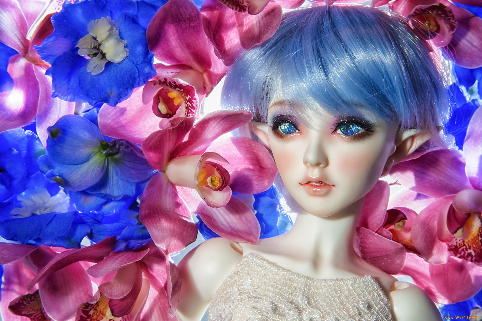 разное, игрушки, игрушка, кукла, эльф, цветы, орхидеи