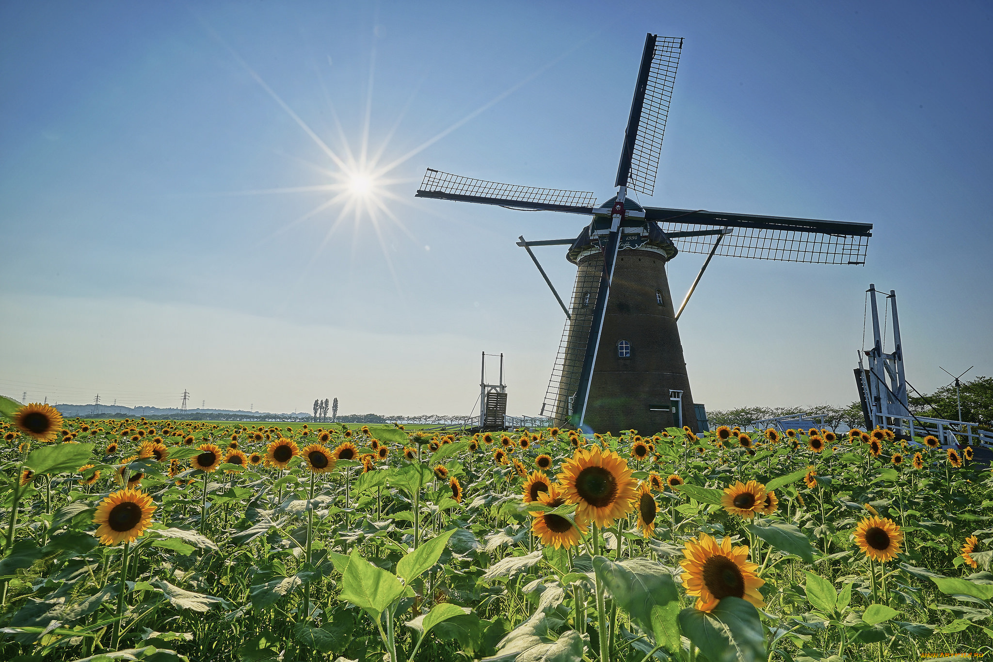 разное, мельницы, поле, подсолнухи, ветряк