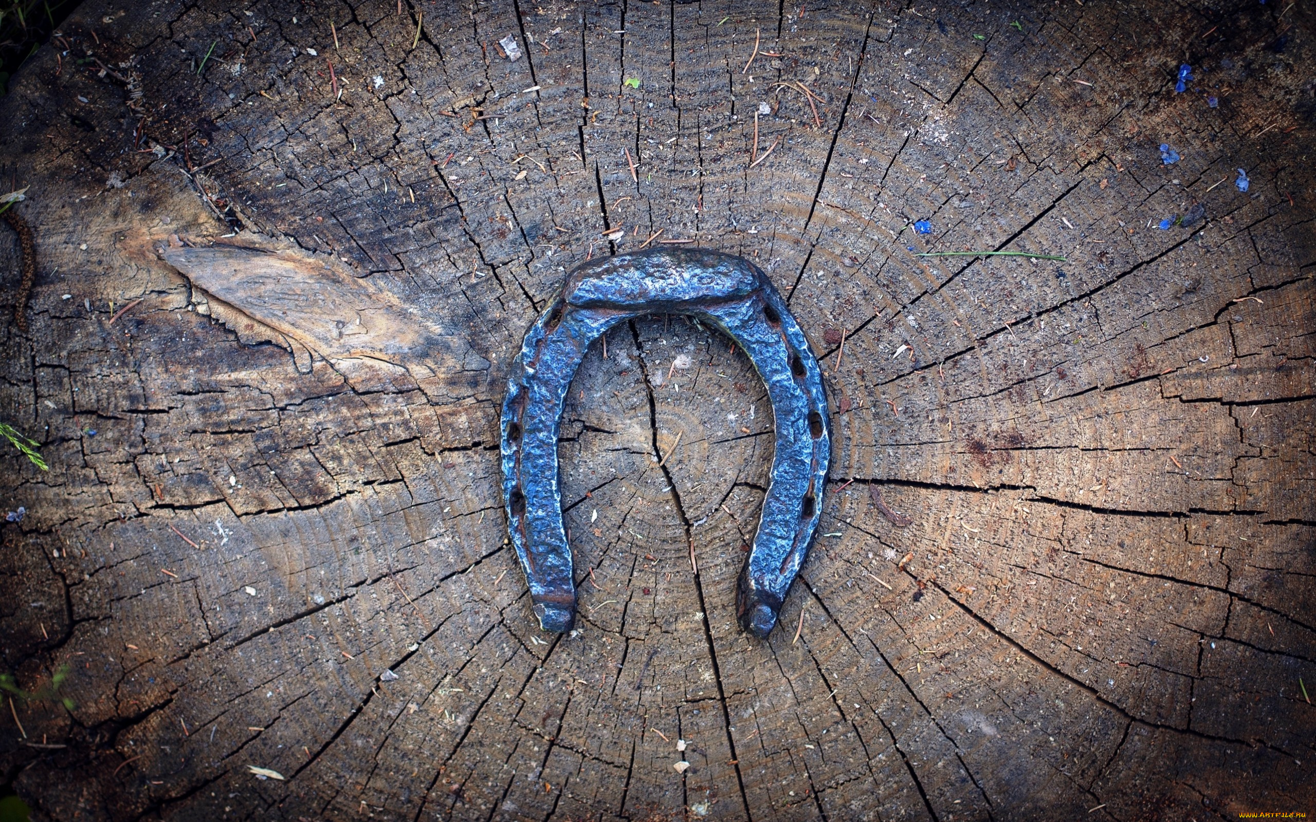 разное, текстуры, подкова, счастье, фон