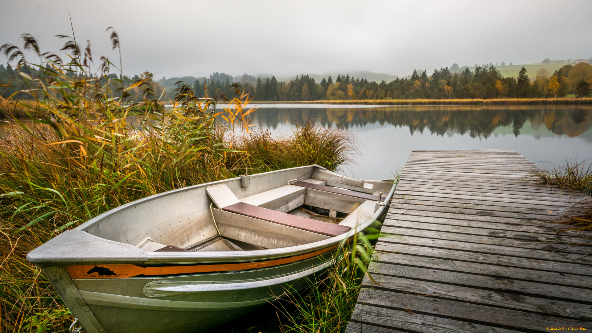 корабли, лодки, , шлюпки, лес, река