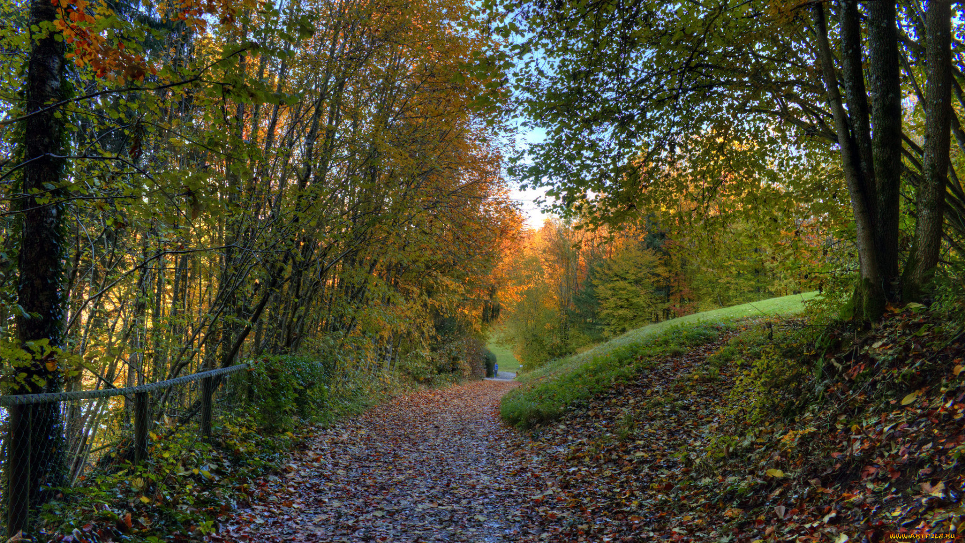 природа, дороги, тракт