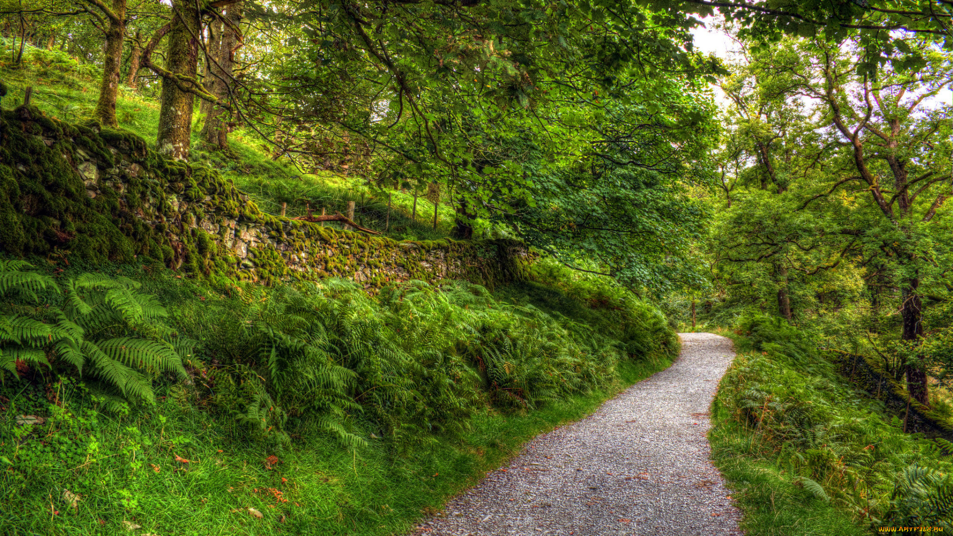 природа, дороги, тракт