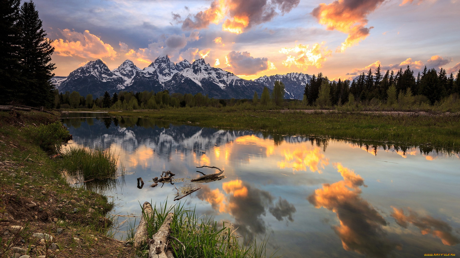 природа, реки, озера, лес, река