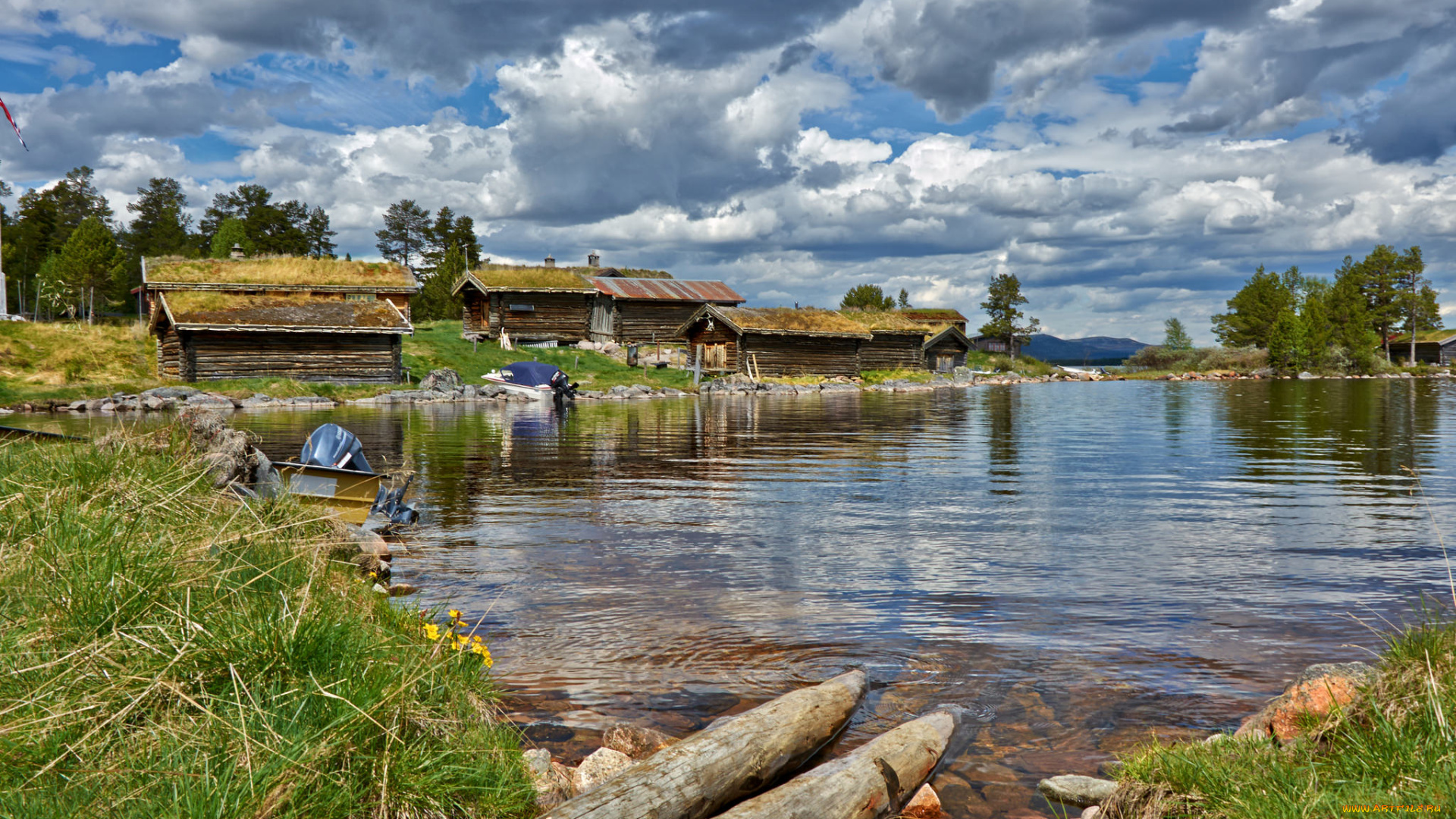 природа, реки, озера, река, лес