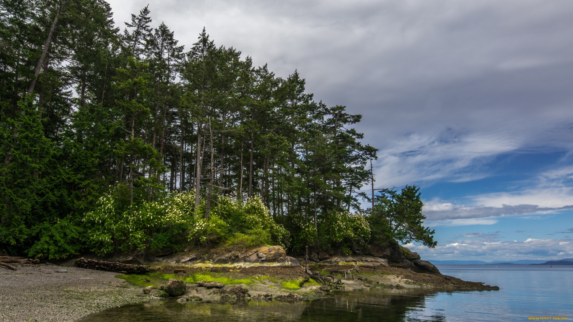 природа, реки, озера, река, лес