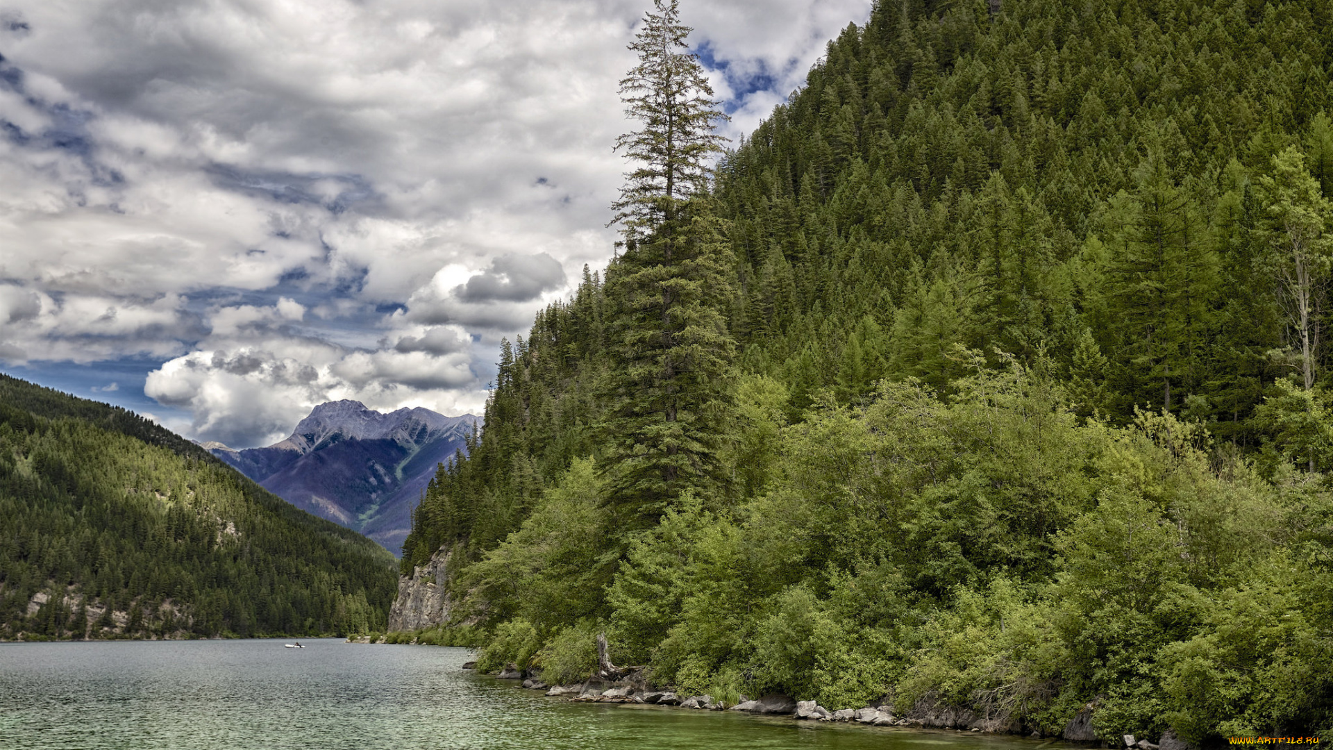 природа, реки, озера, река, лес