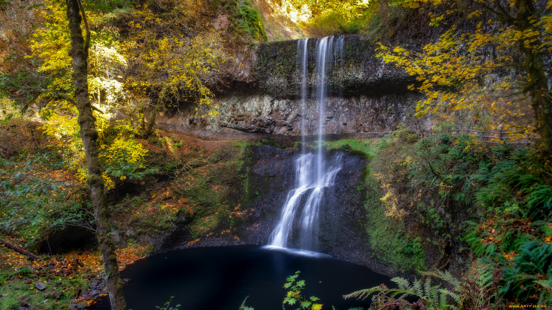 природа, водопады, лес, река, водопад