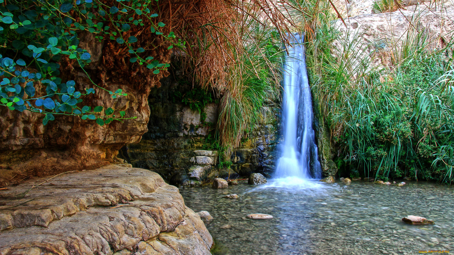 природа, водопады, водопад, лес, река