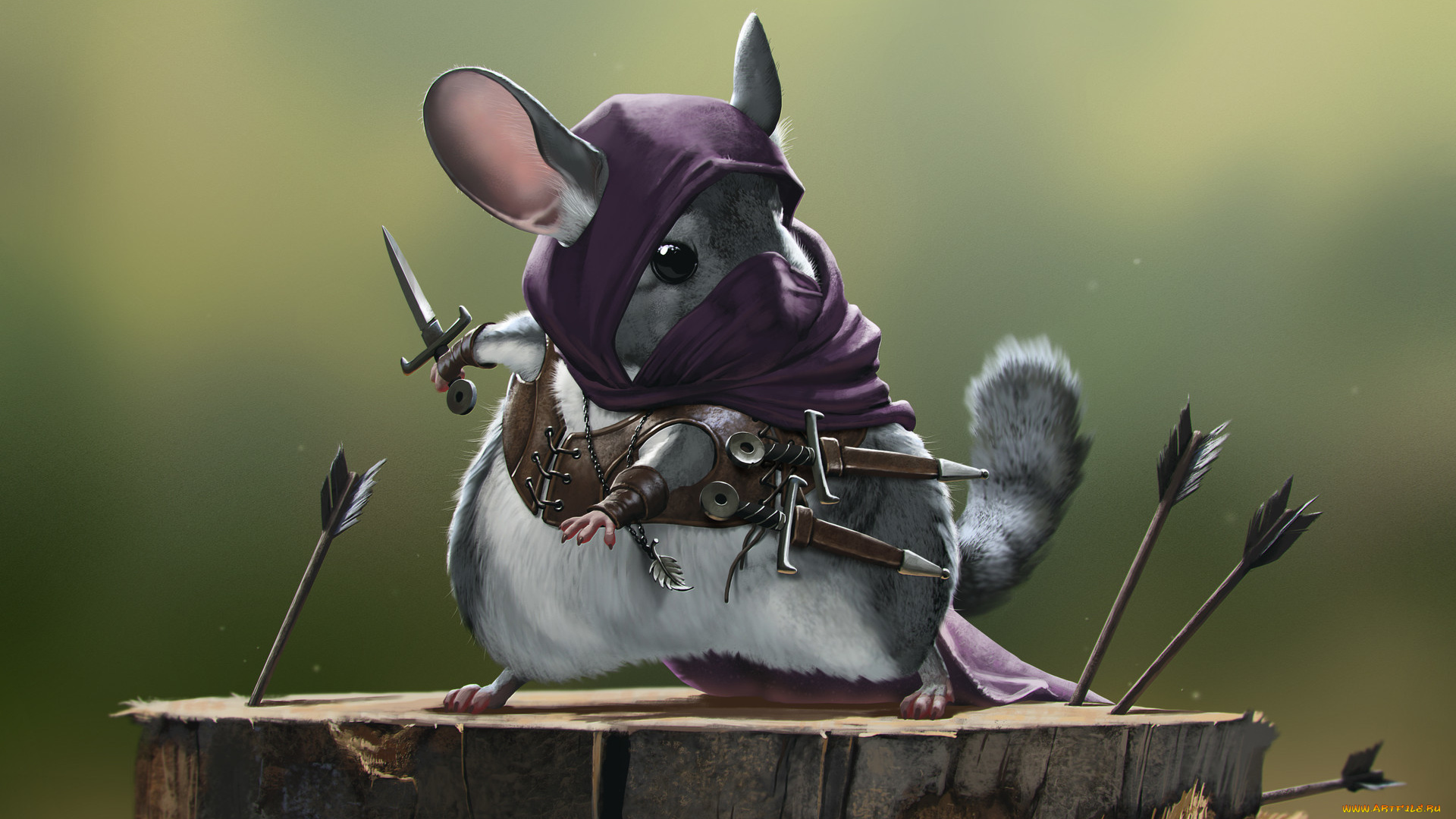 рисованное, животные, , мыши, , крысы, ассасин, оружие, шиншилла