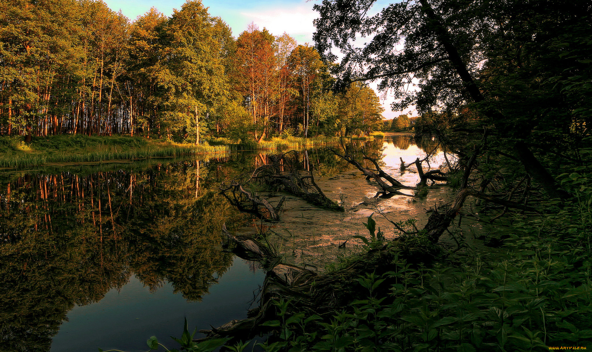 природа, реки, озера, река, лес