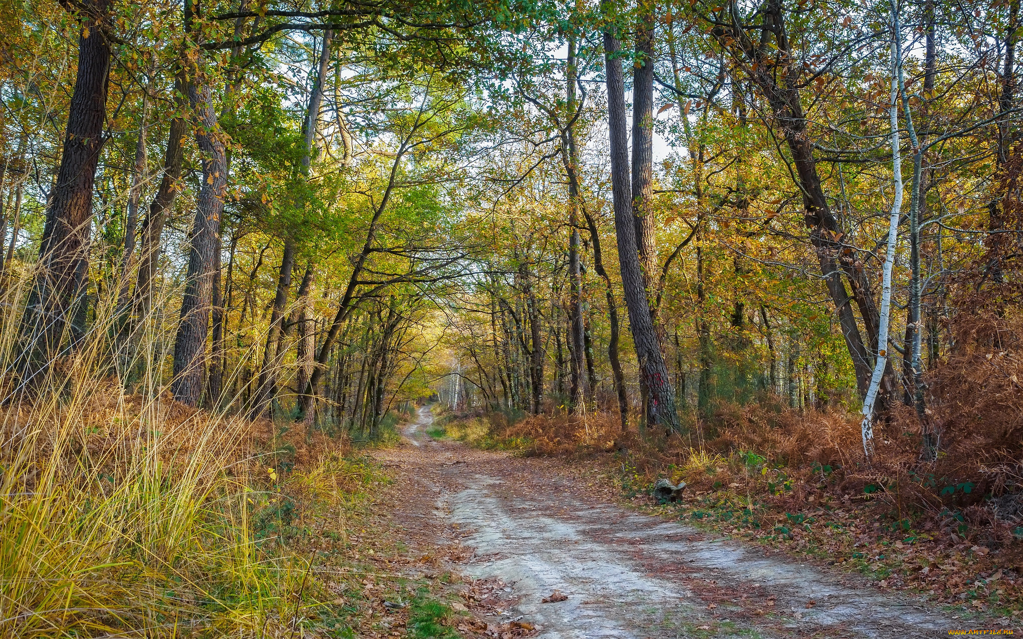 природа, дороги, тракт