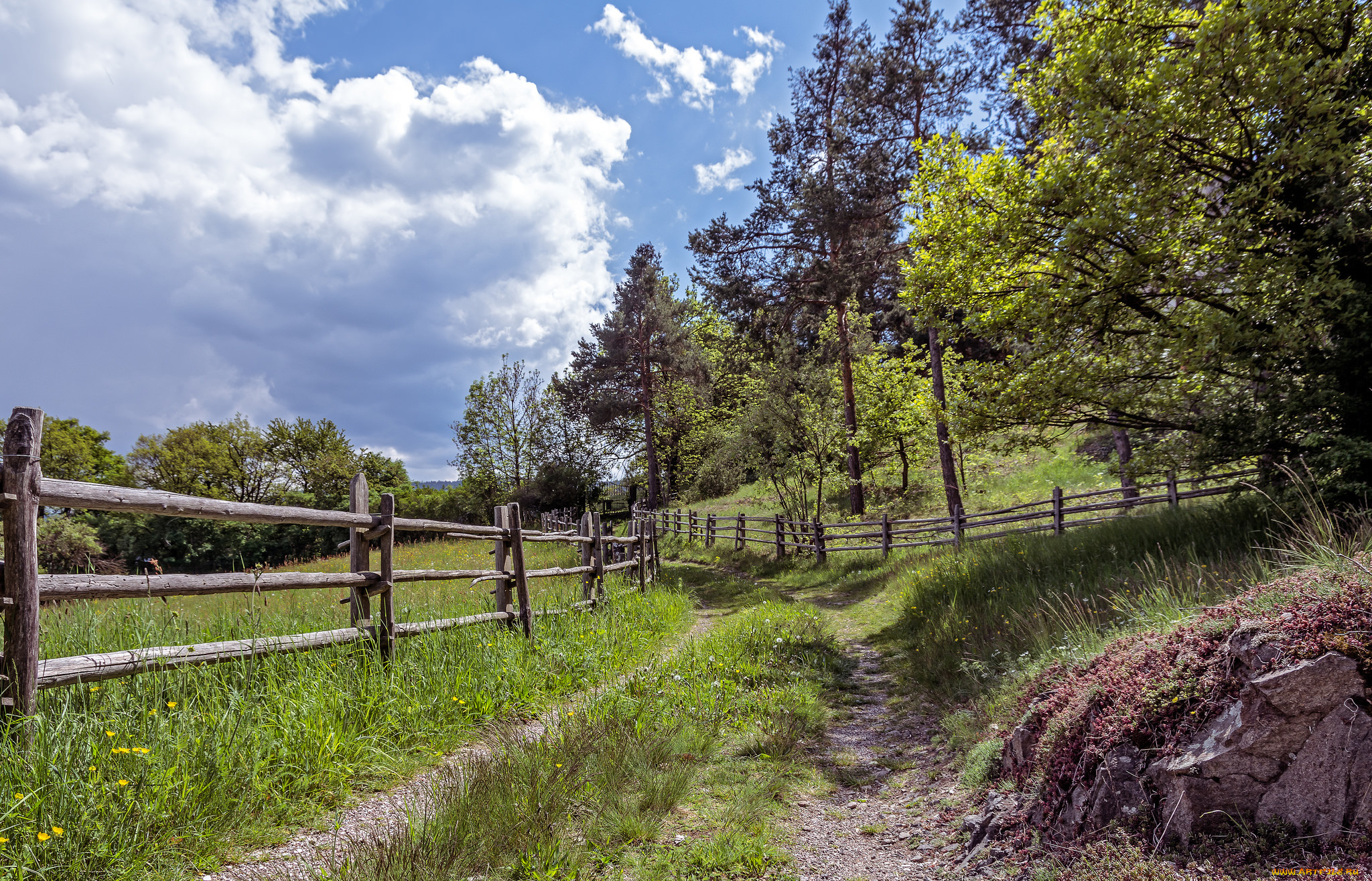 природа, дороги, тракт