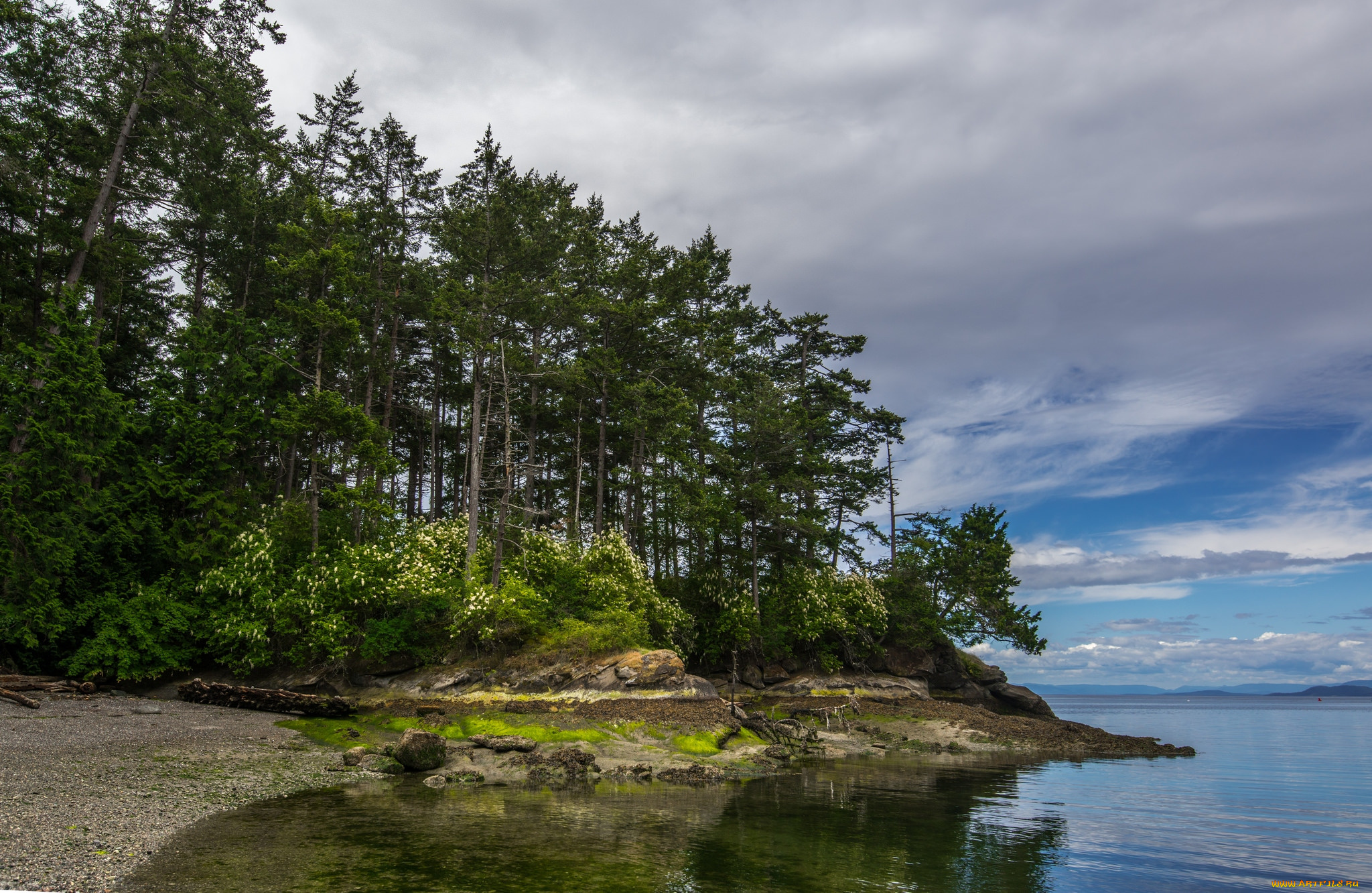 природа, реки, озера, река, лес