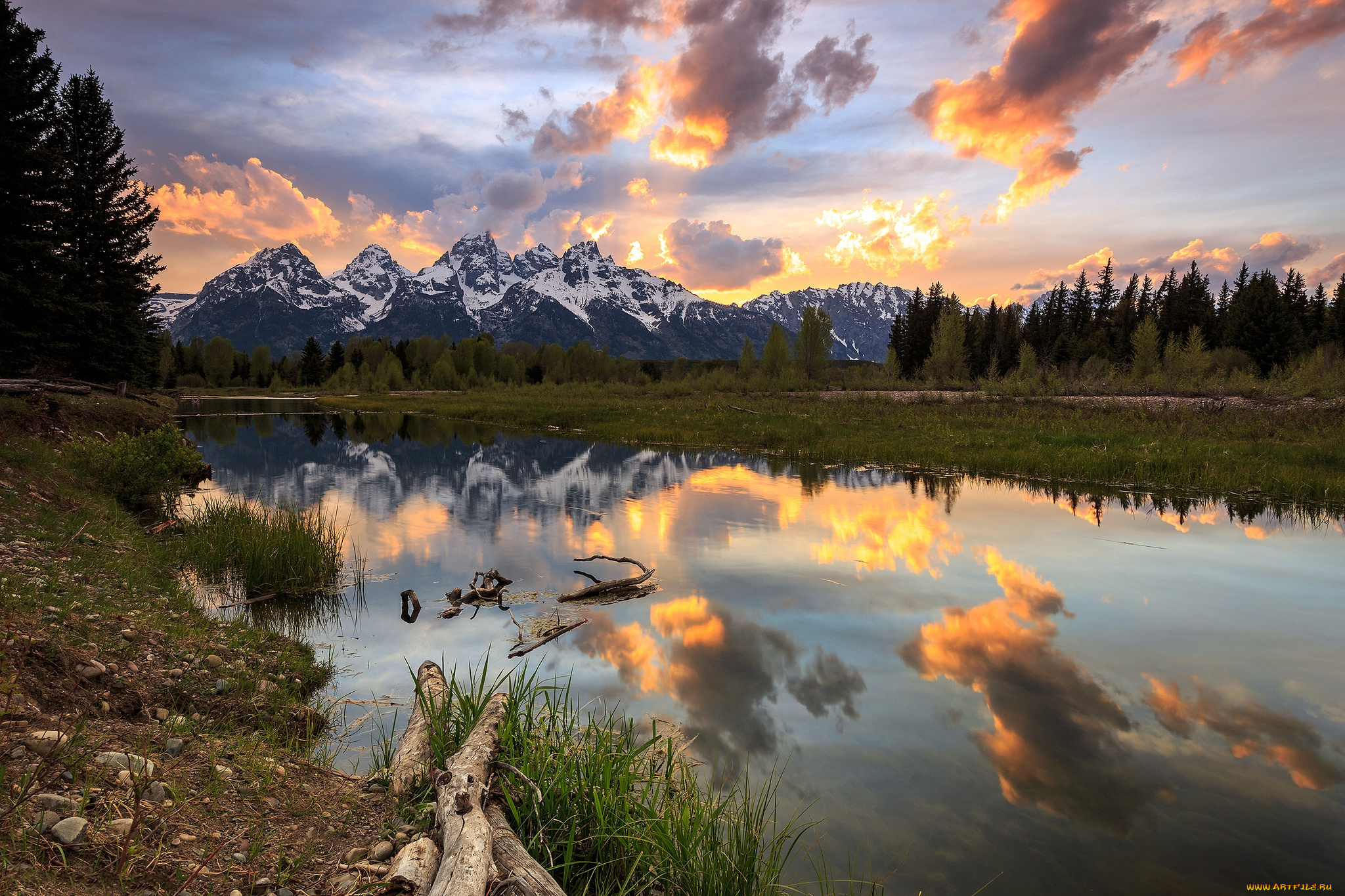 природа, реки, озера, лес, река