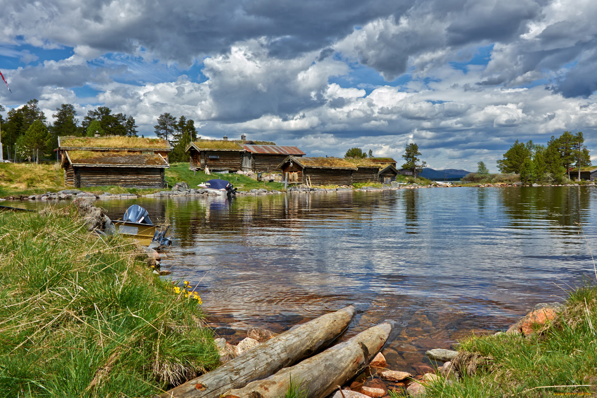 природа, реки, озера, река, лес