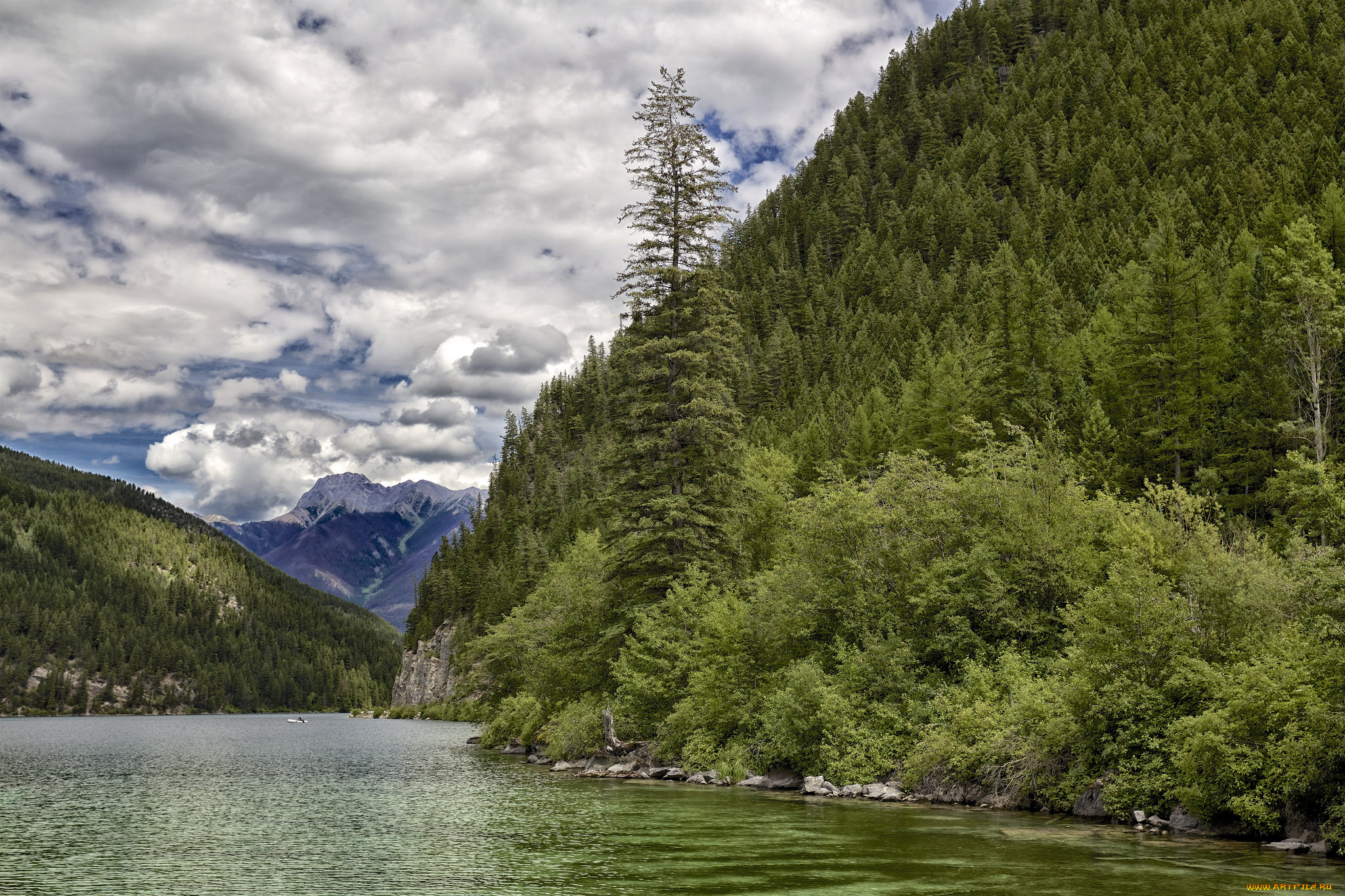 природа, реки, озера, река, лес