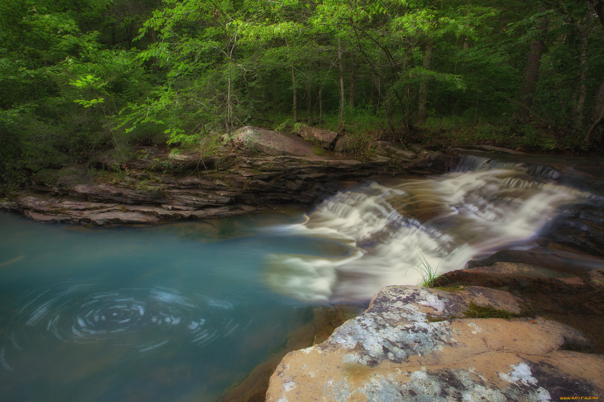 природа, реки, озера, река, лес