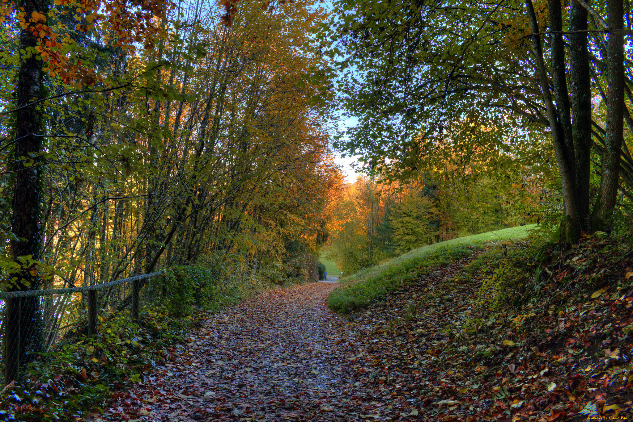 природа, дороги, тракт