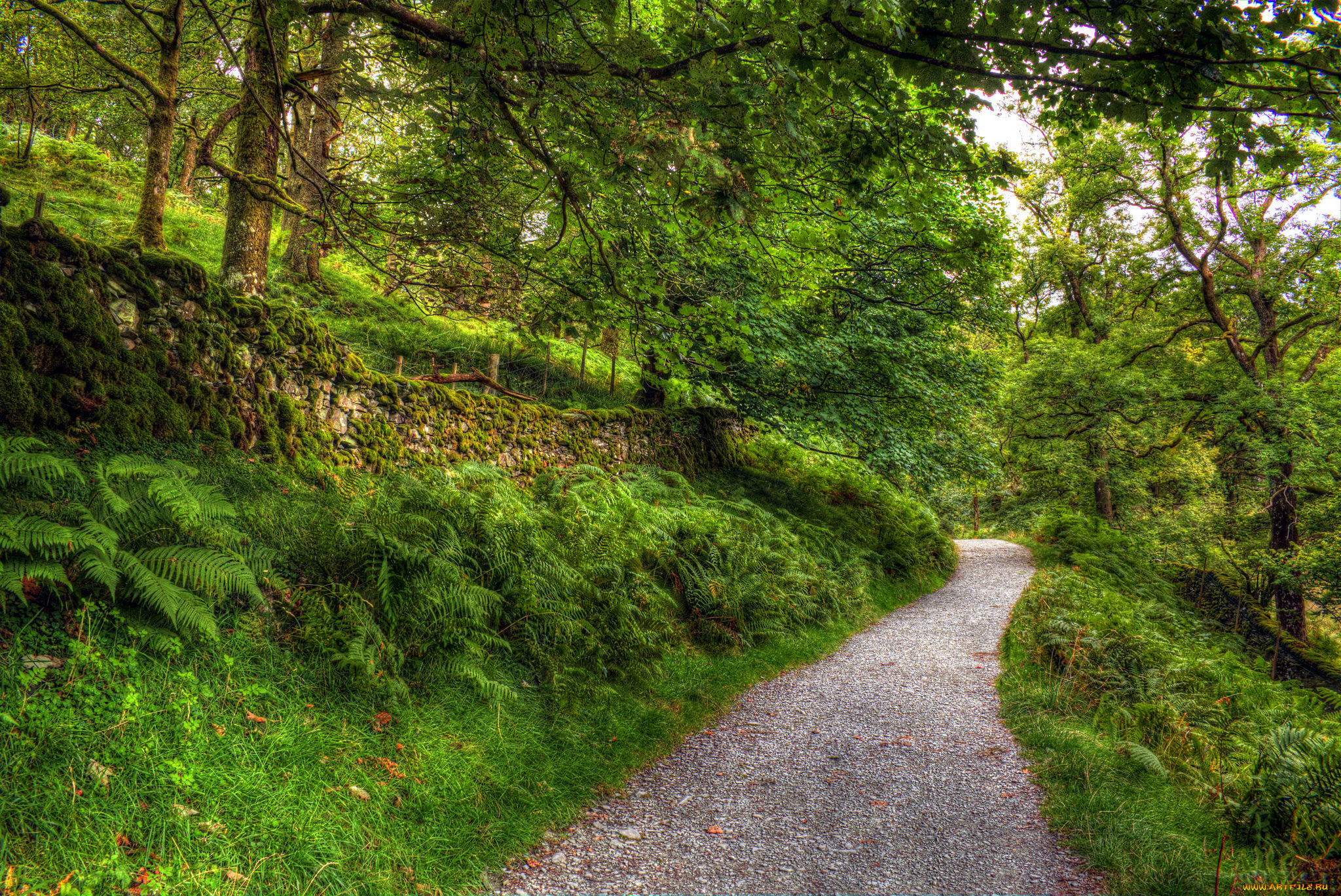 природа, дороги, тракт