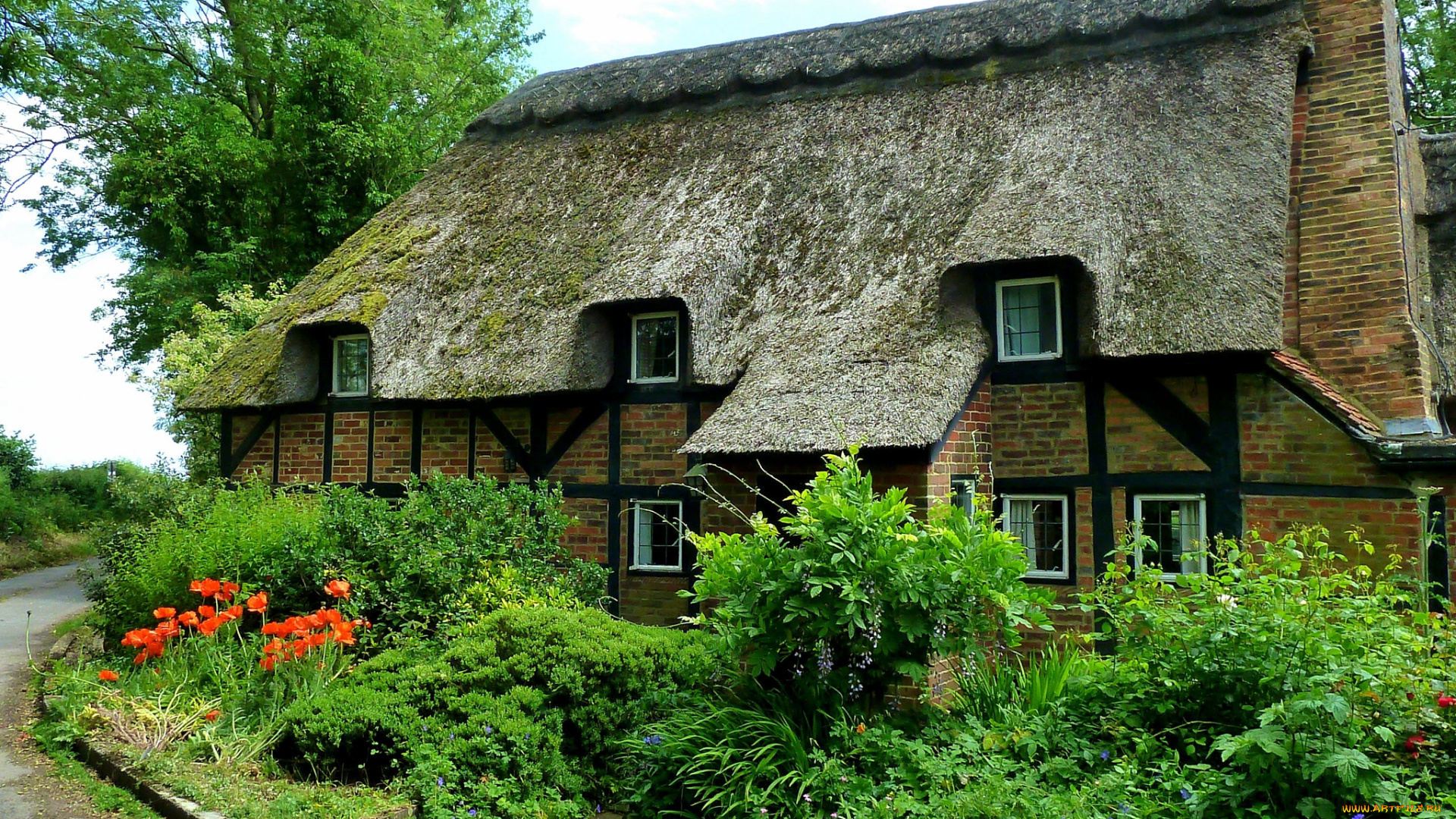 англия, города, -, здания, , дома, деревья, кустарники, трава, цветы