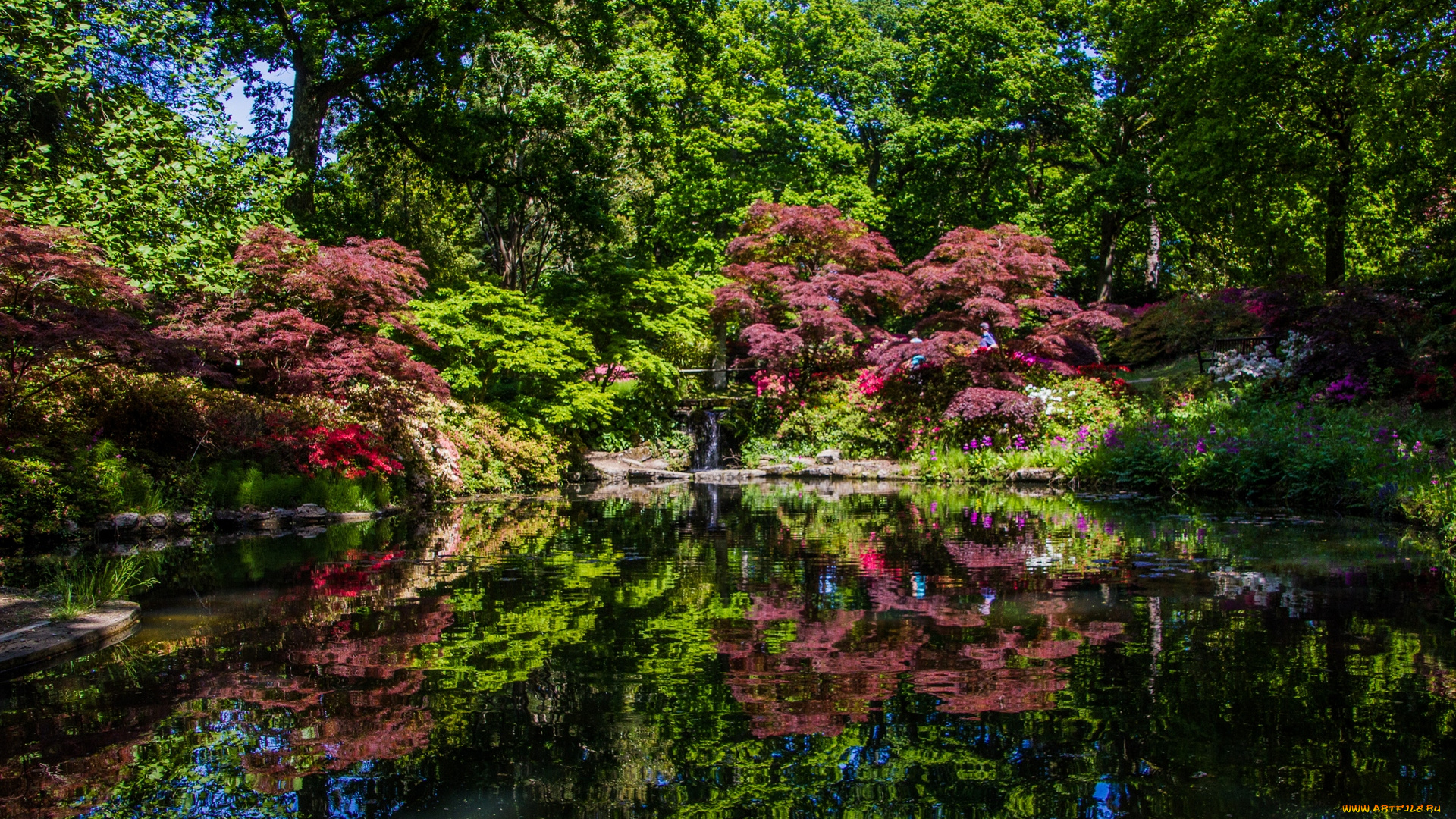 англия, природа, парк, деревья, водоем
