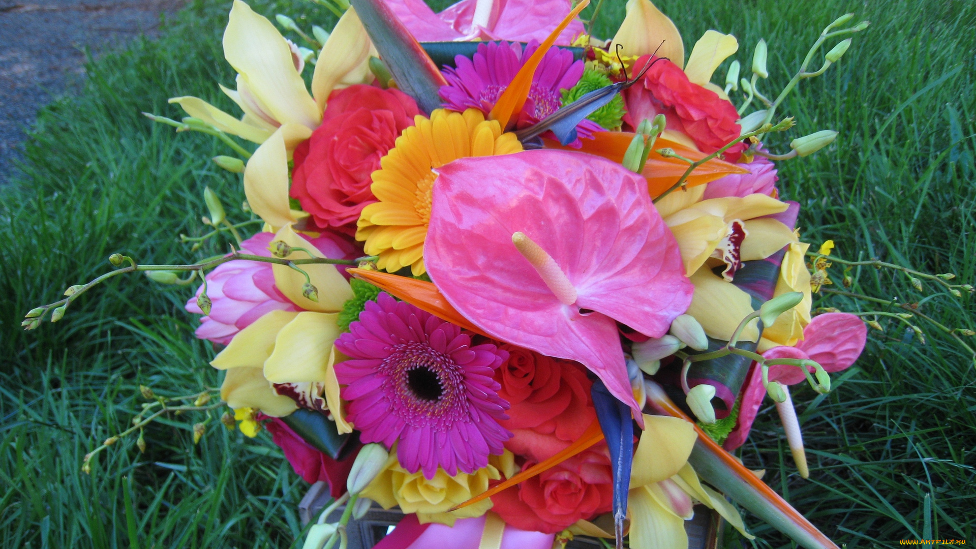 цветы, букеты, , композиции, трава, разноцветные