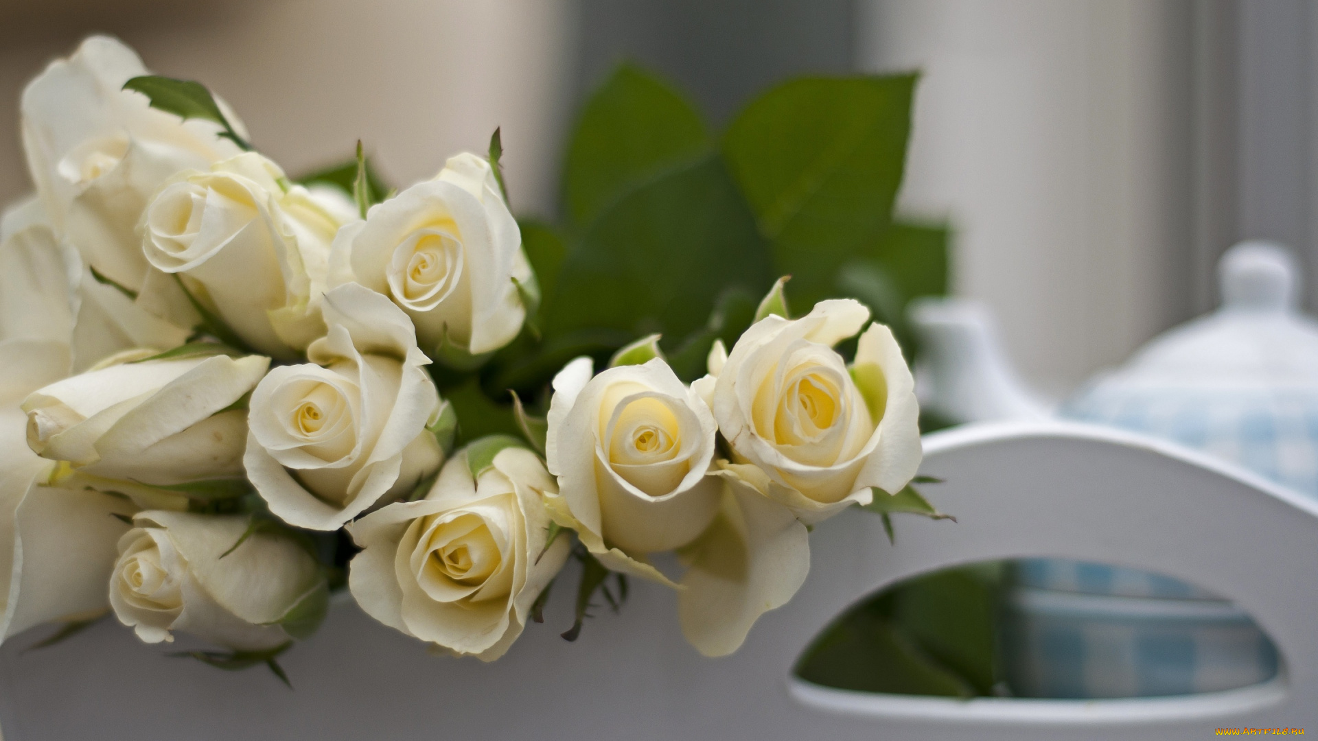 цветы, розы, белые, букет