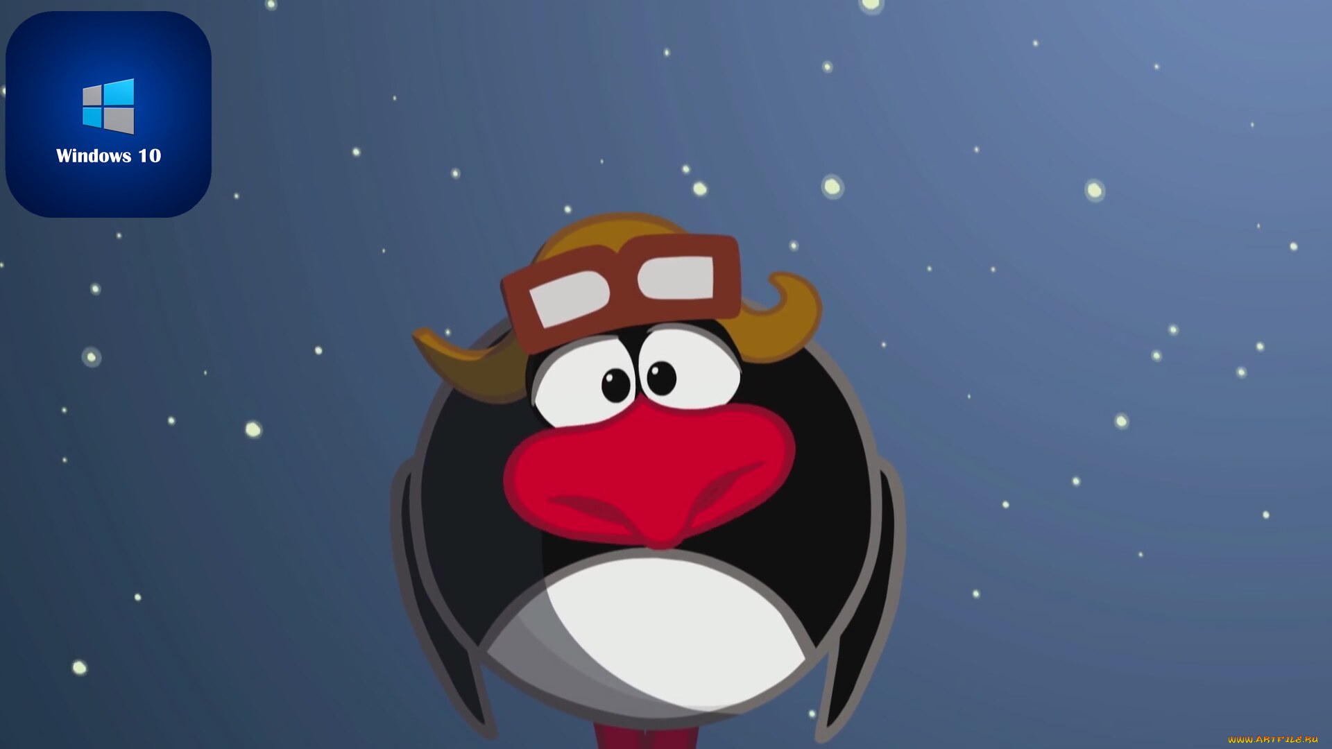 компьютеры, windows, , 10, очки, шапка, птица