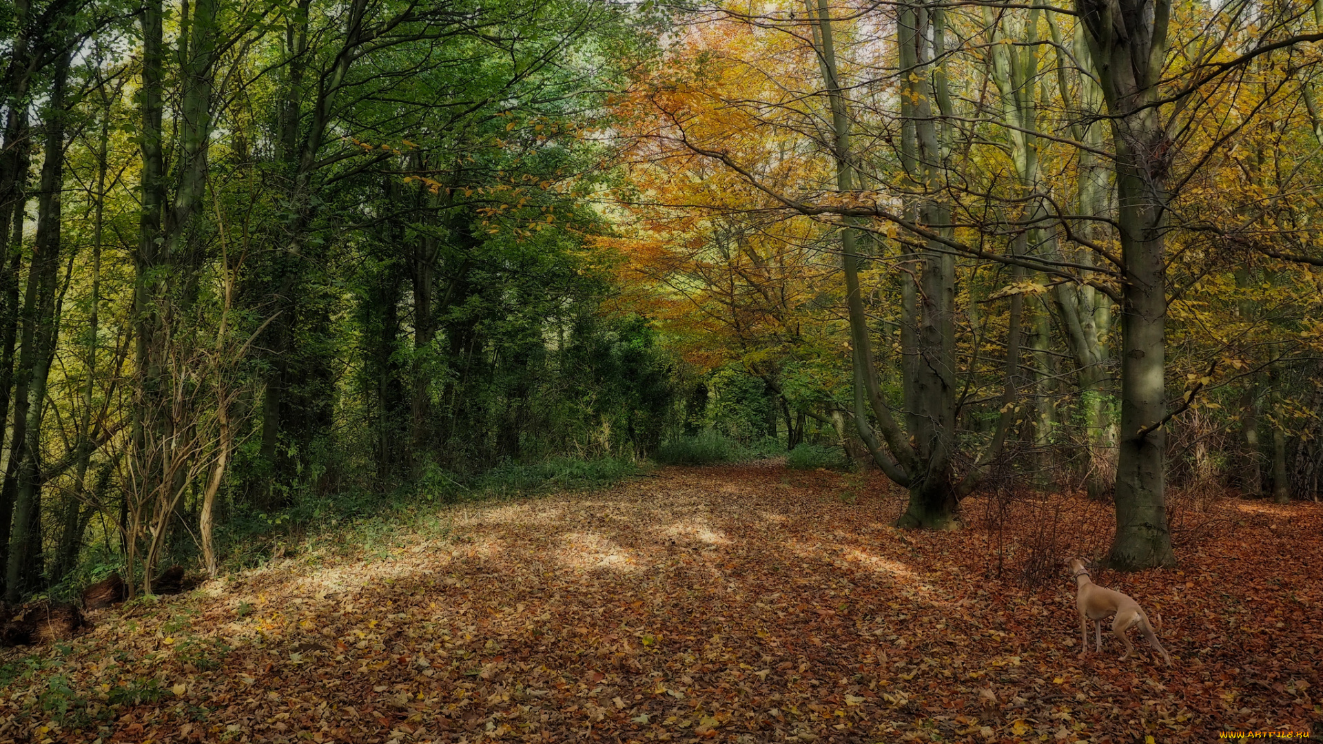 природа, дороги, тракт