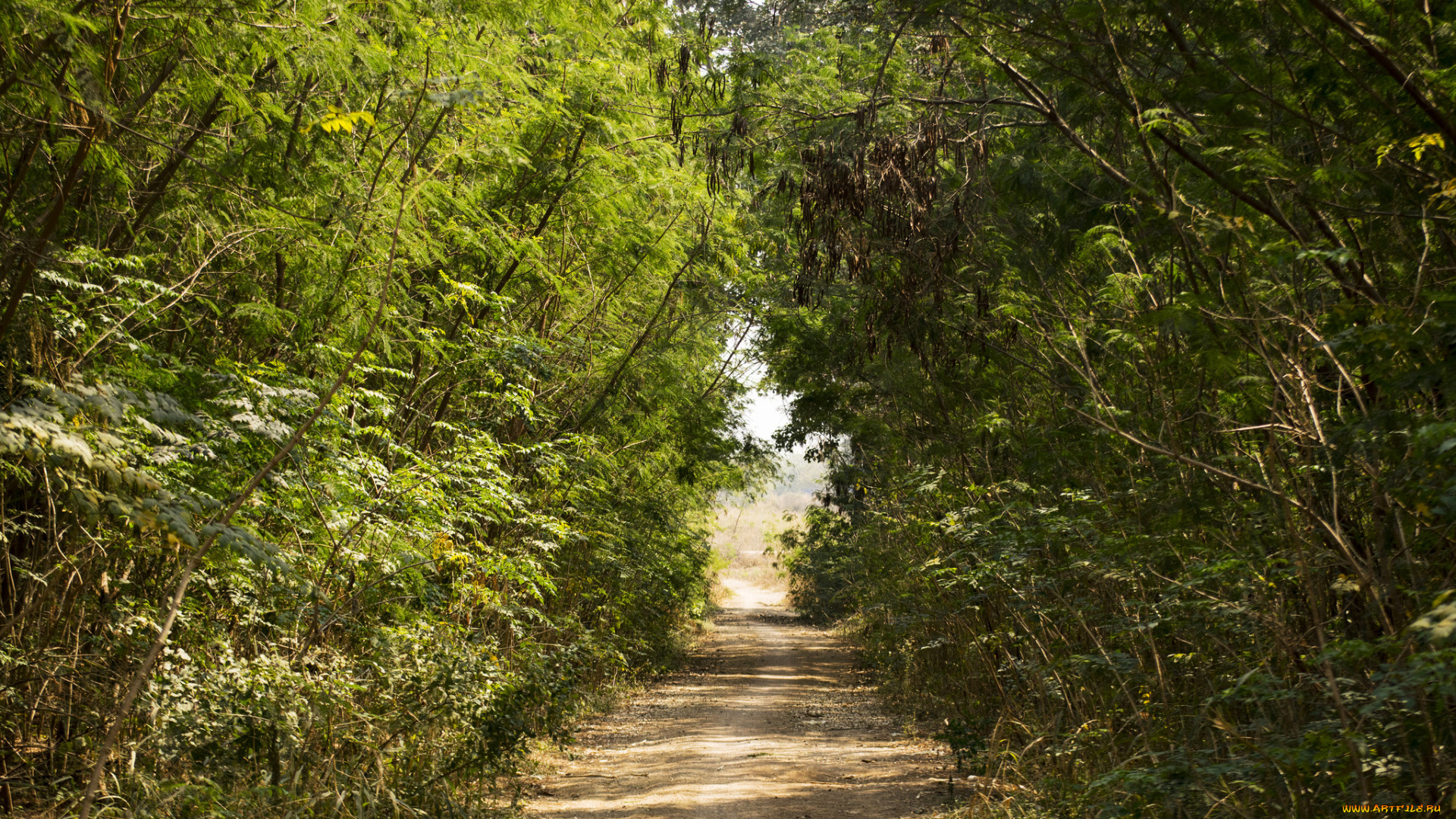 природа, дороги, тракт