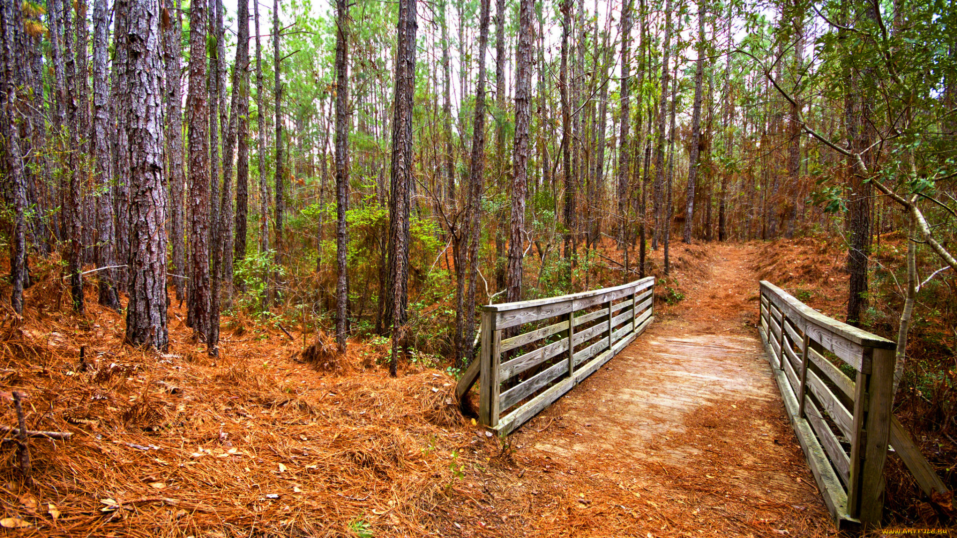 природа, дороги, тракт