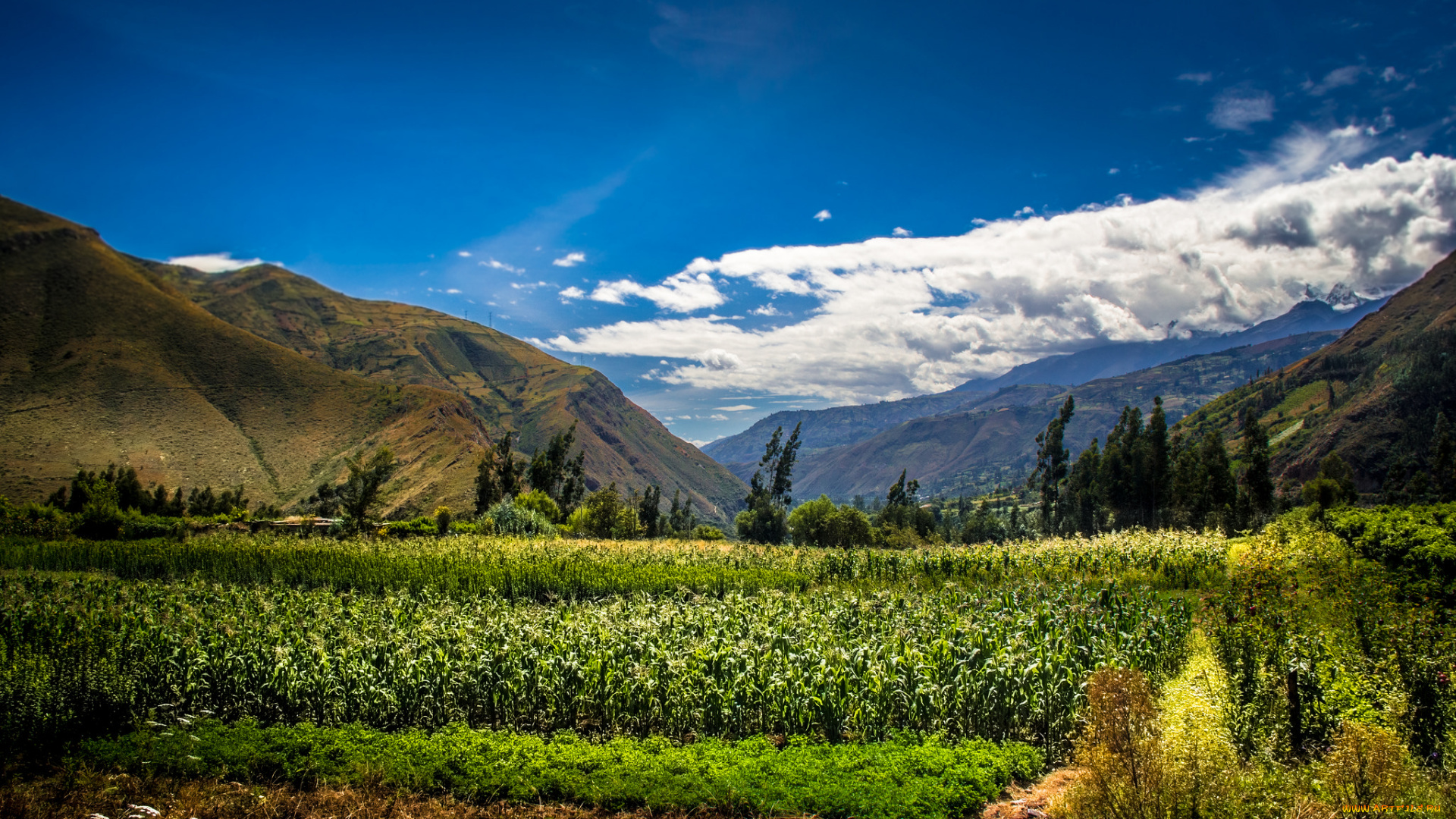 природа, горы, простор