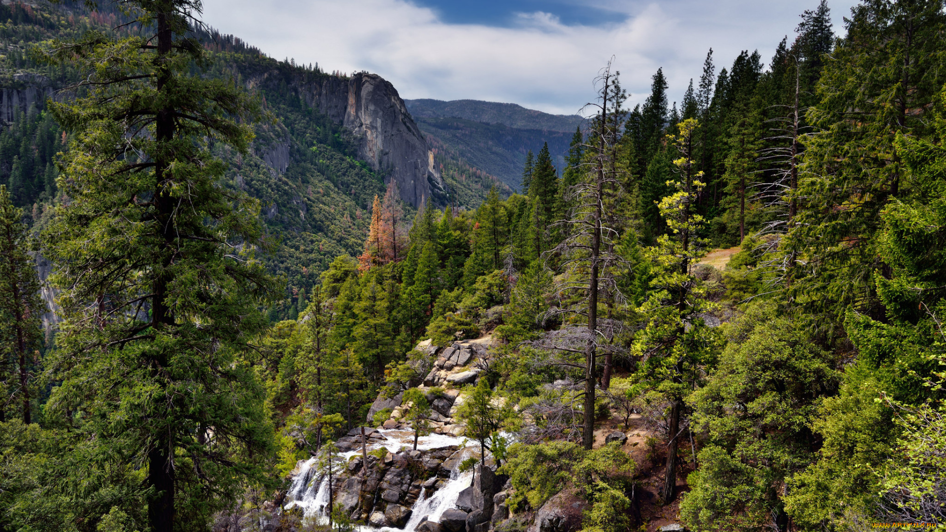 природа, горы, простор