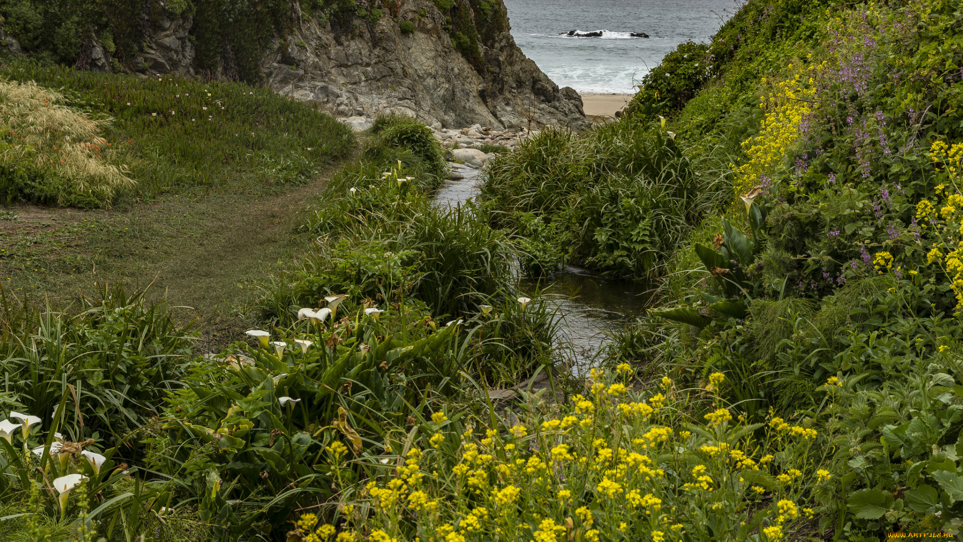 природа, побережье, берег, море