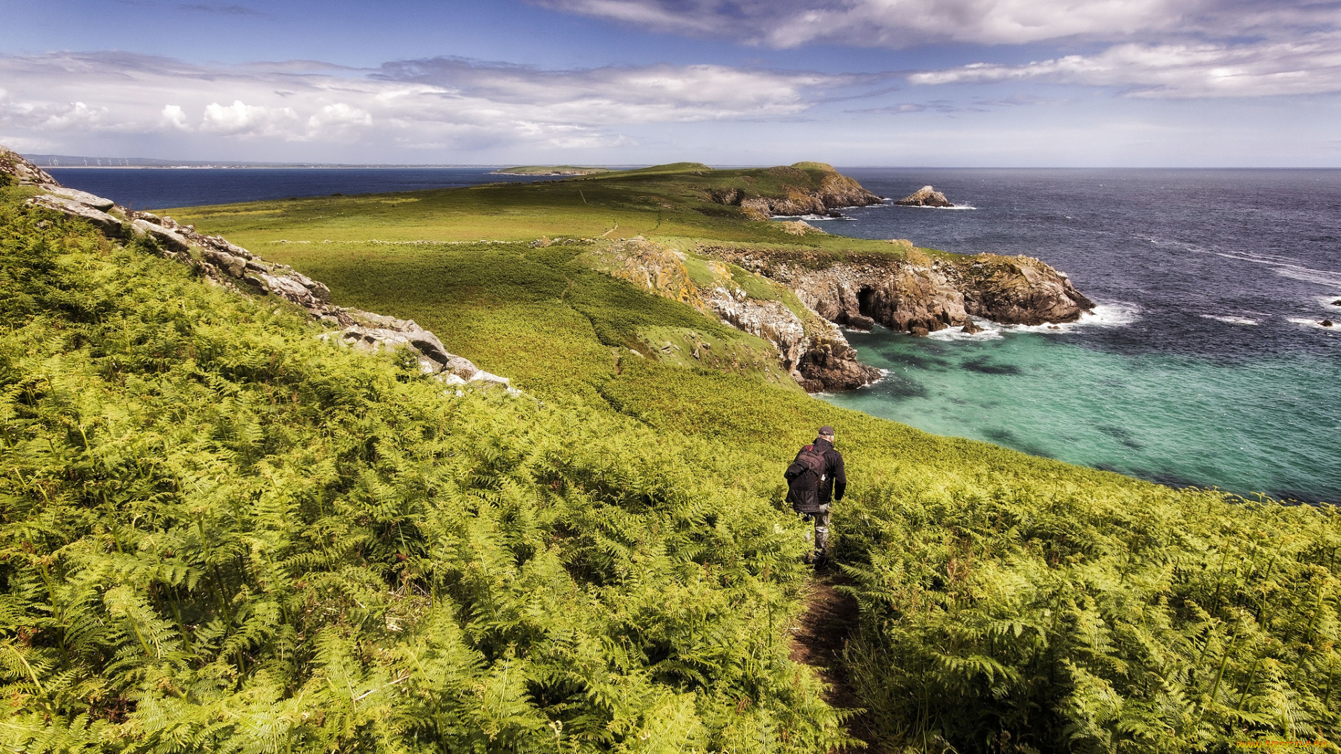 природа, побережье, берег, море