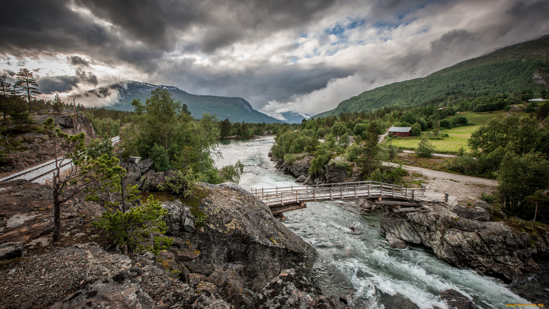 природа, реки, озера, река, лес