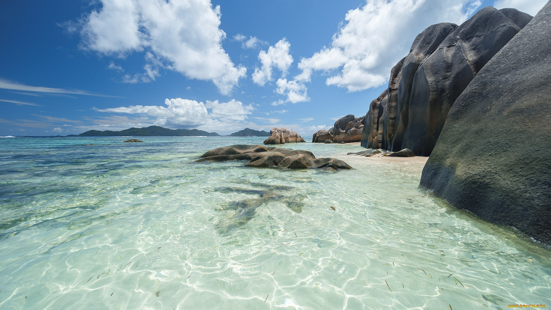 природа, тропики, курорт