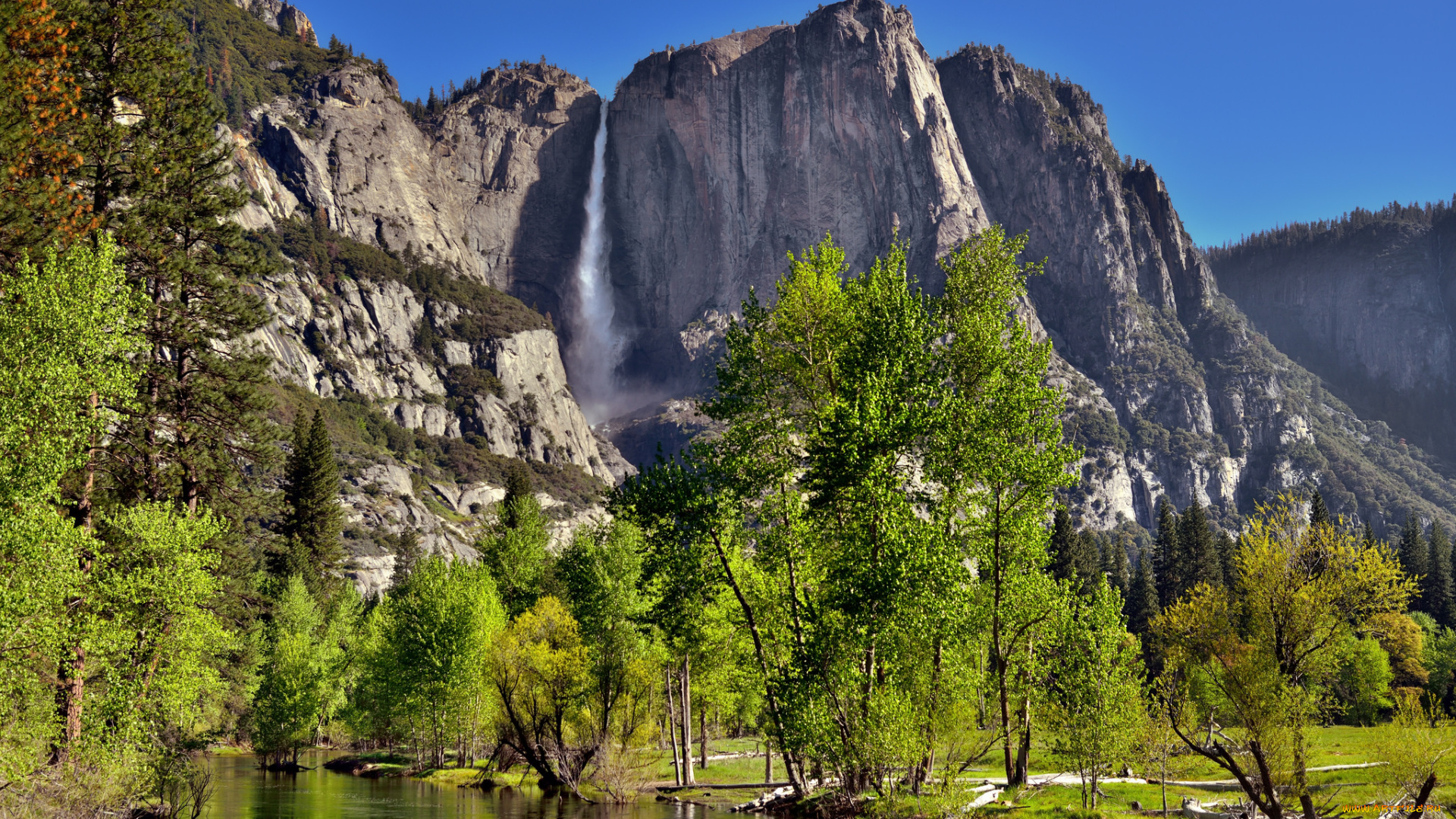 природа, водопады, лес, река, водопад