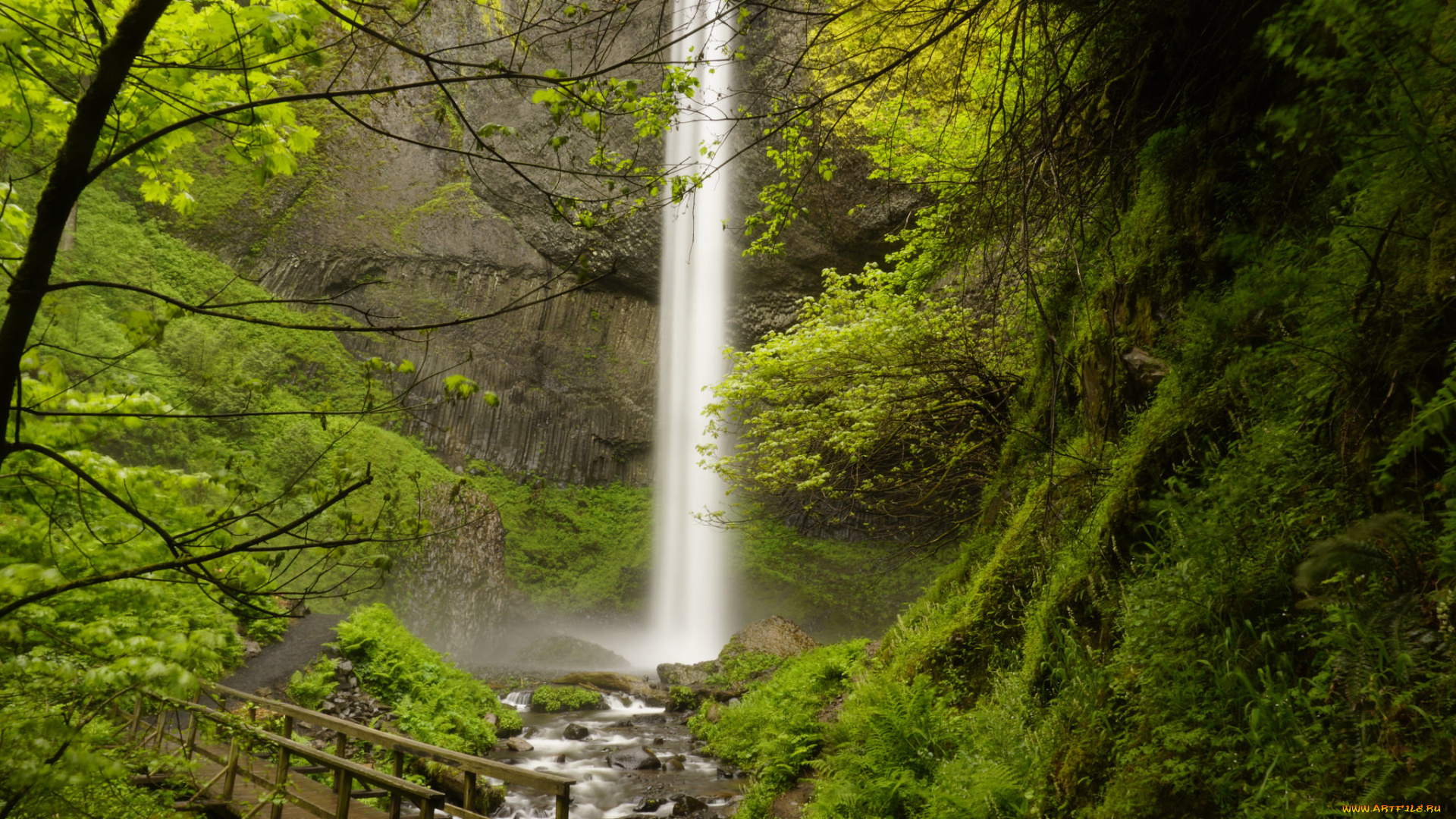 природа, водопады, лес, водопад, река