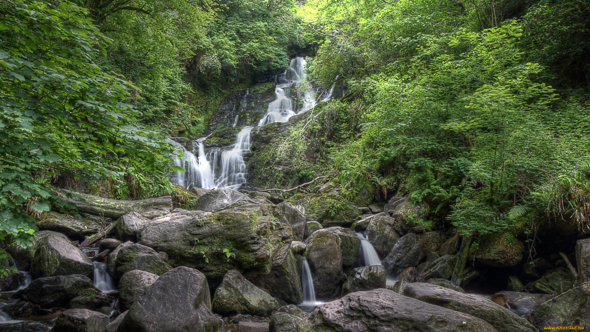 природа, водопады, река, водопад, лес