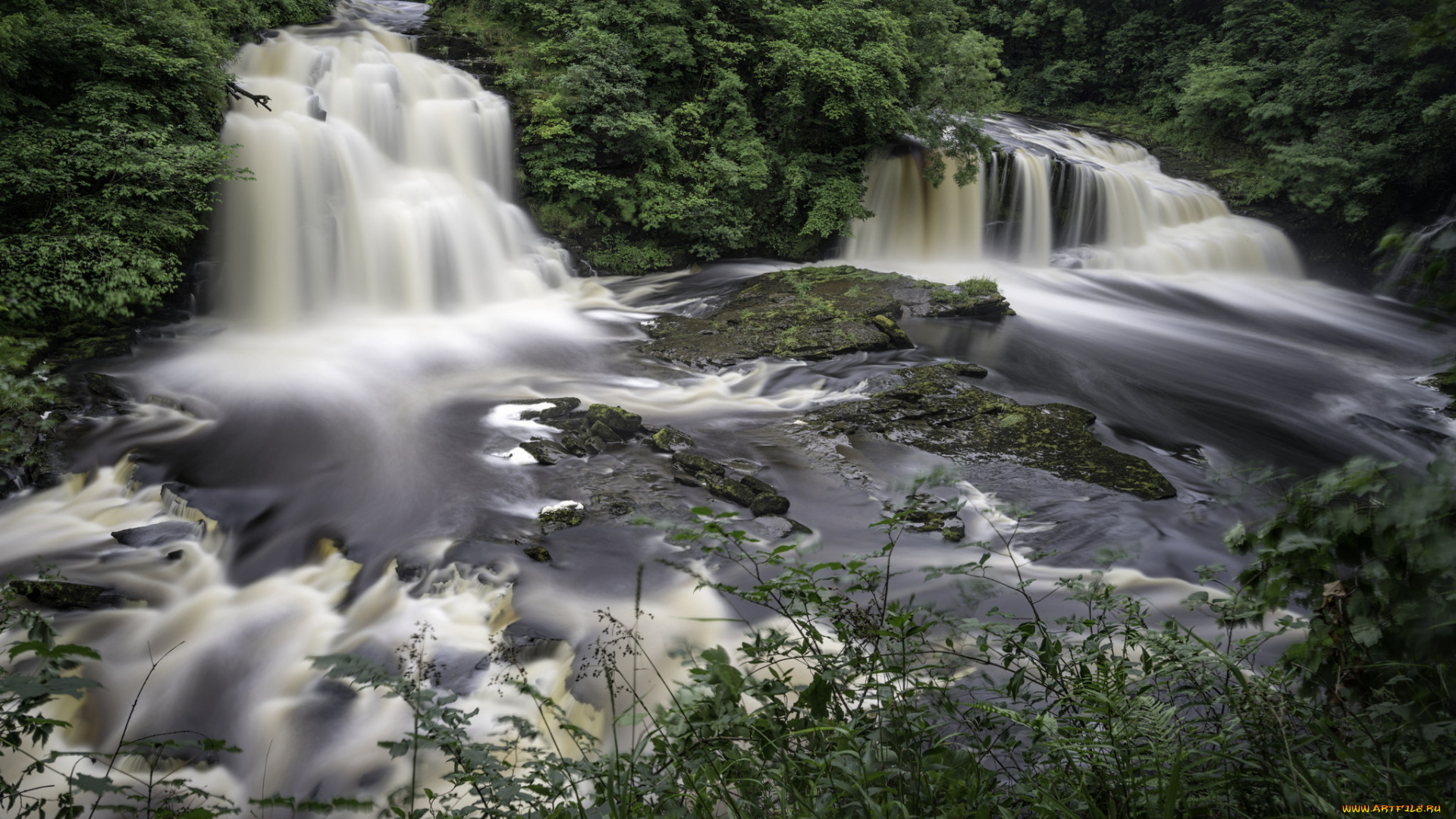 природа, водопады, водопад, река, лес