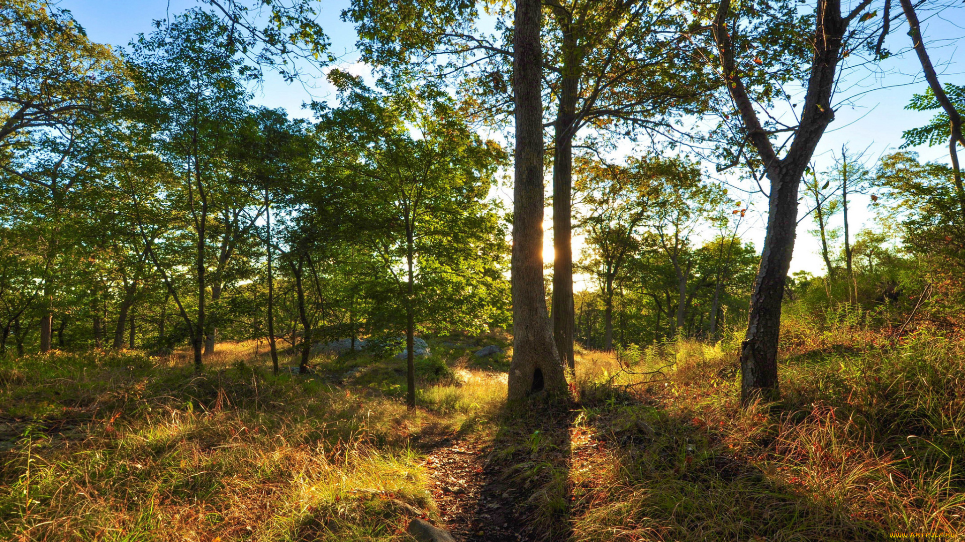 природа, восходы, закаты, рассвет