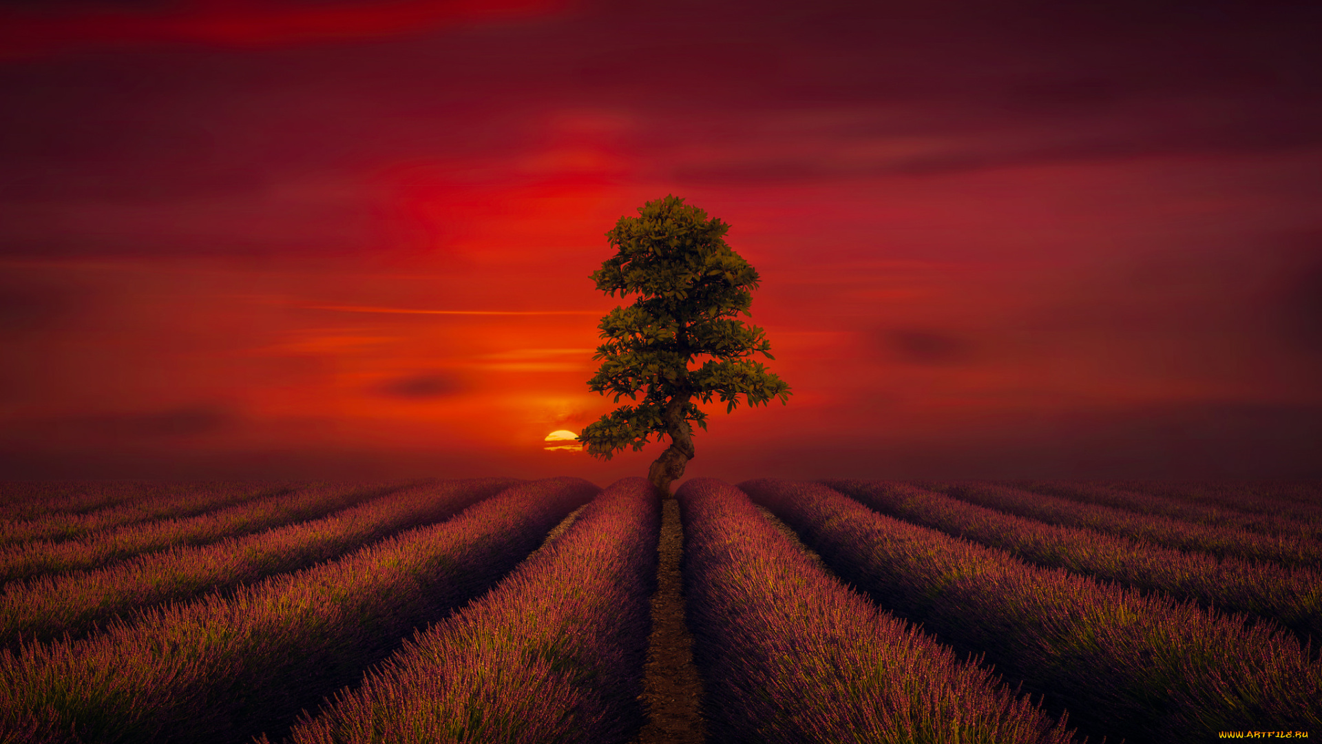 природа, восходы, закаты, рассвет