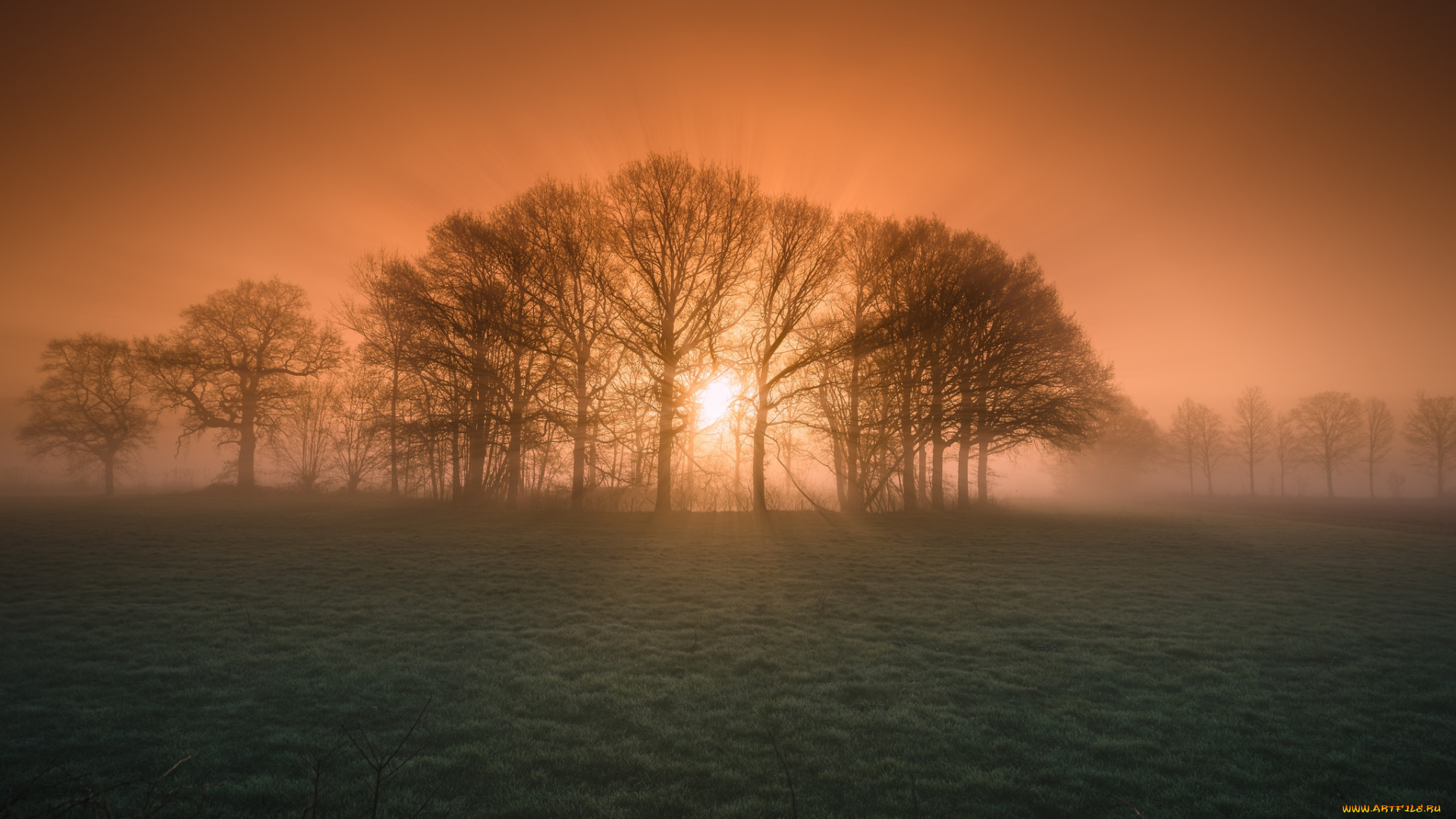 природа, восходы, закаты, рассвет