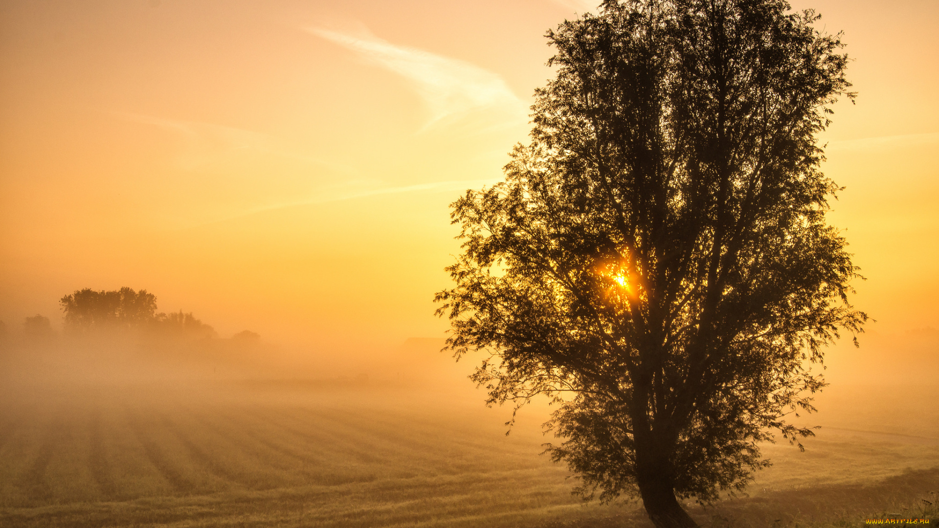 природа, восходы, закаты, рассвет