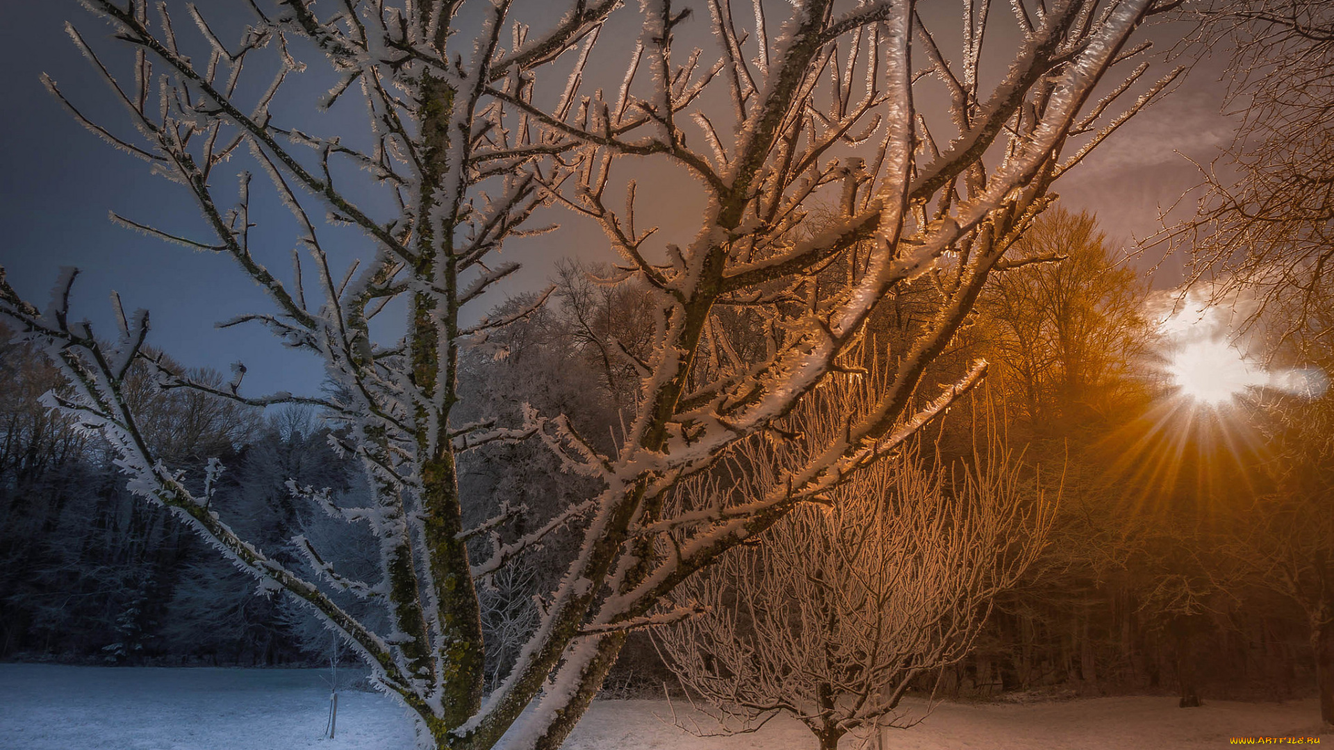 природа, зима, снег